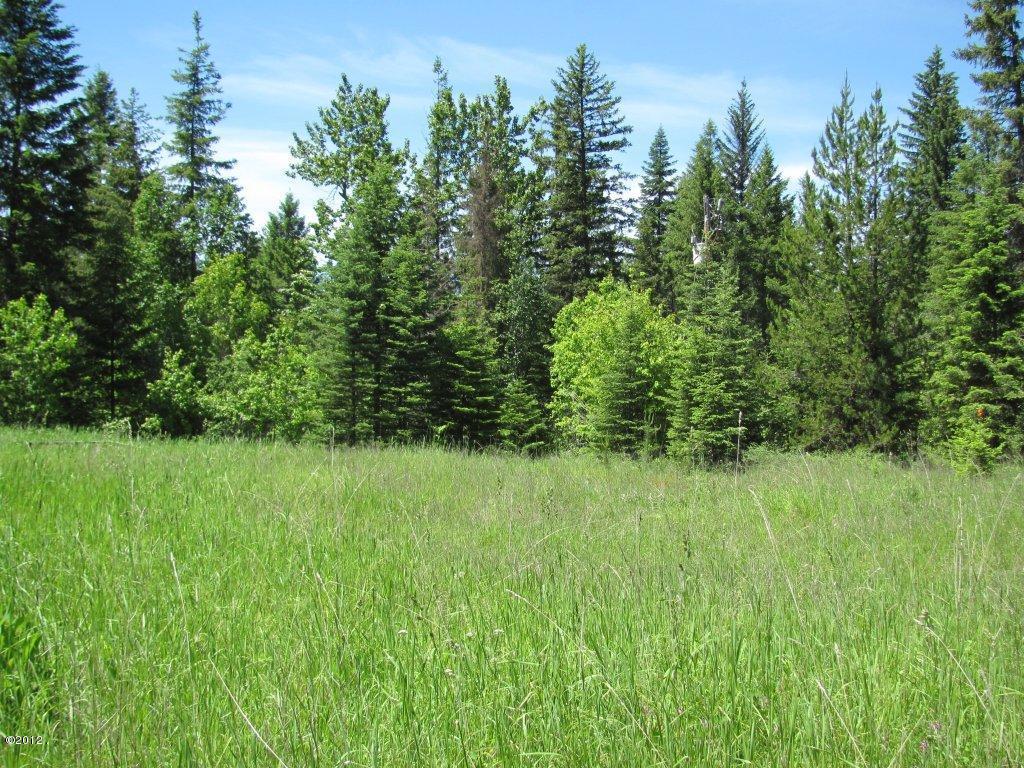 Nhn Sinclair Lane Property Photo 6