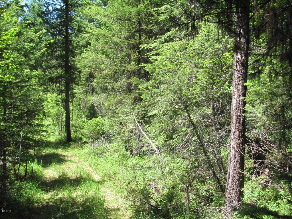 Nhn Sinclair Lane Property Photo 12