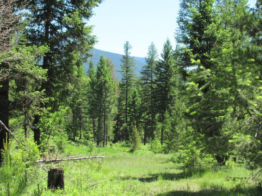 Nhn Sinclair Lane Property Photo 15