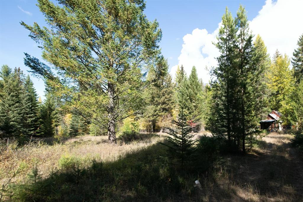 Nhn Sinclair Lane Property Photo 18