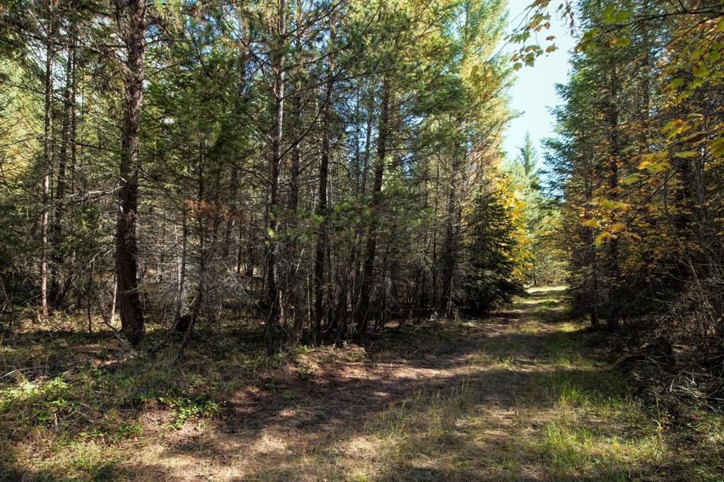 Nhn Sinclair Lane Property Photo 21
