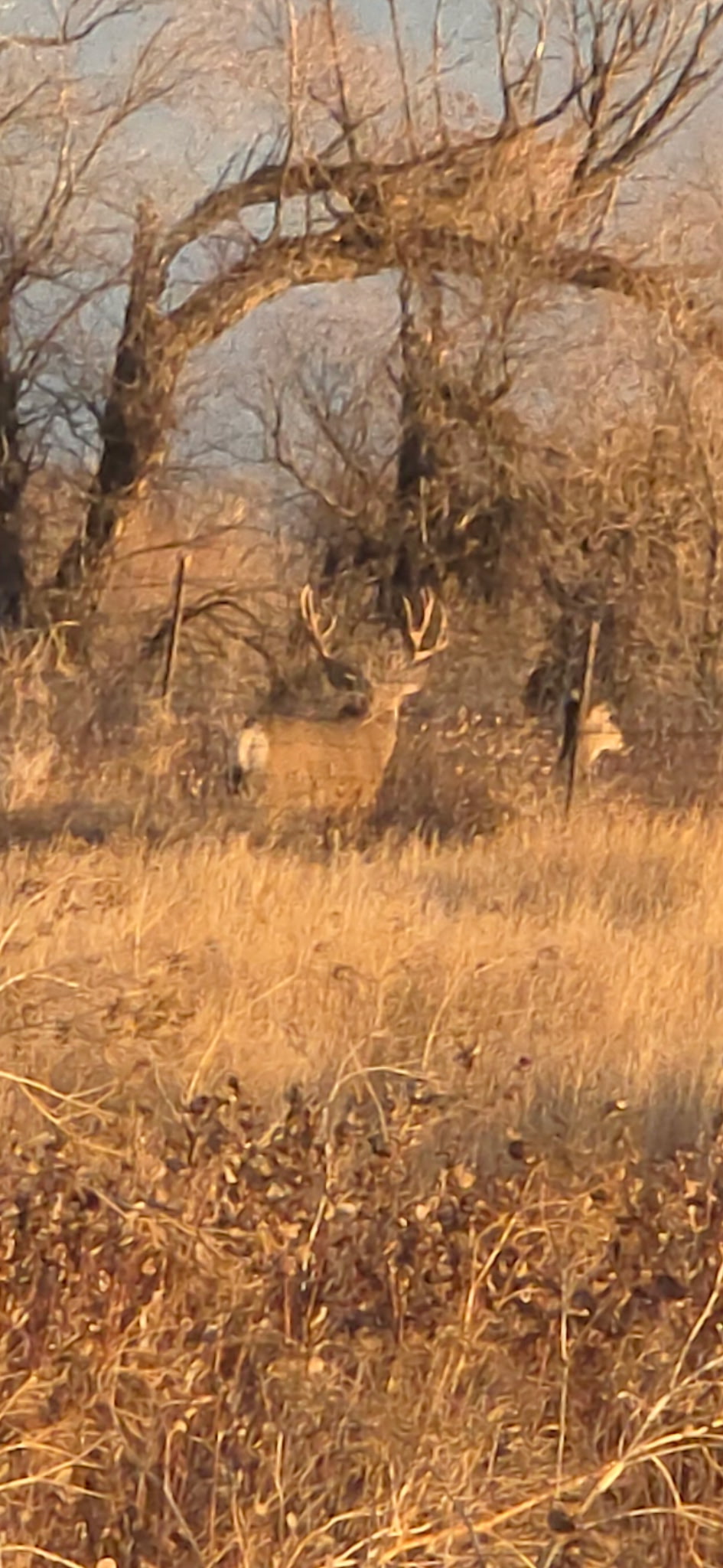 Tbd Tbd Property Photo 4