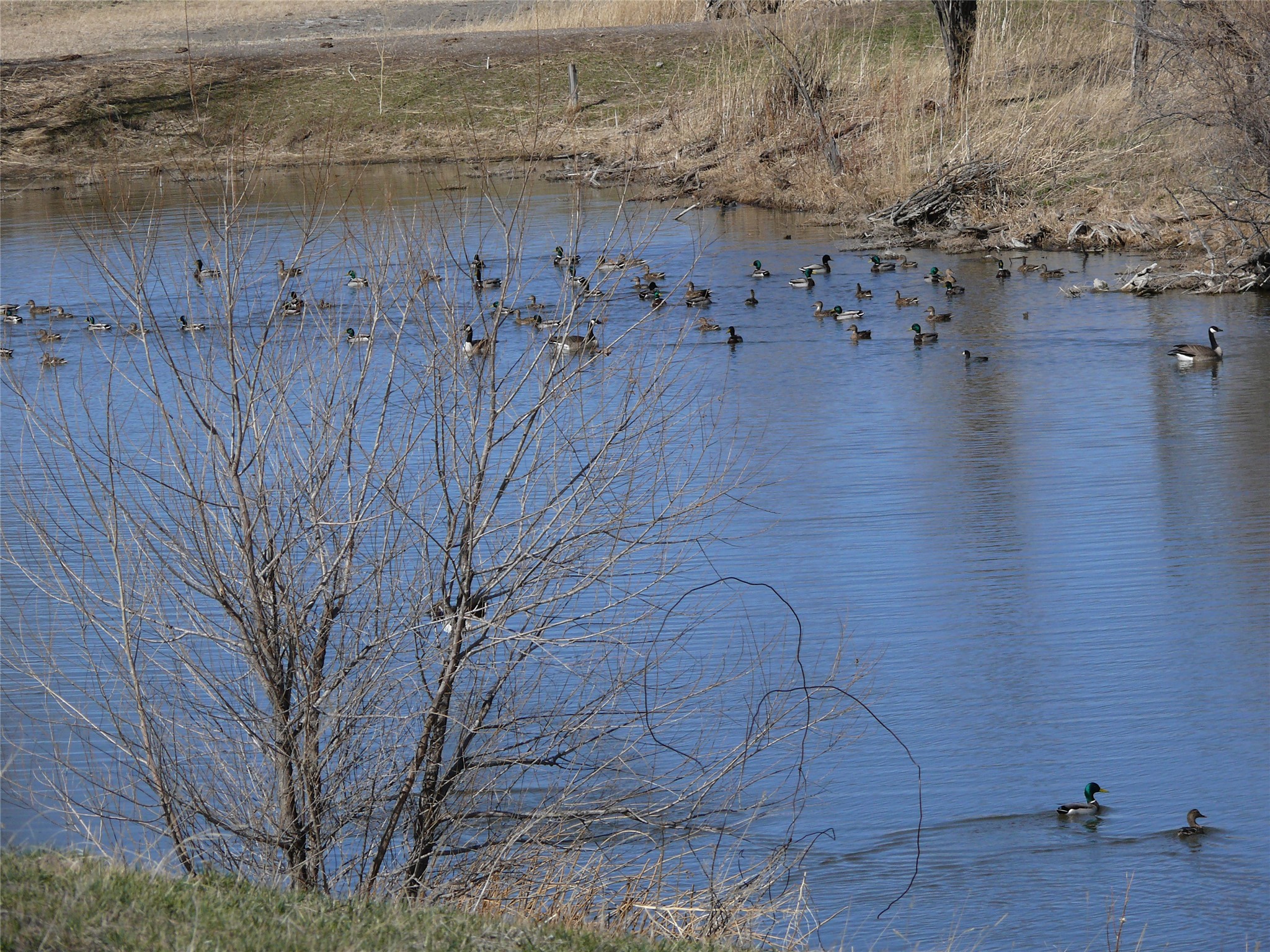 Tbd Tbd Property Photo 5