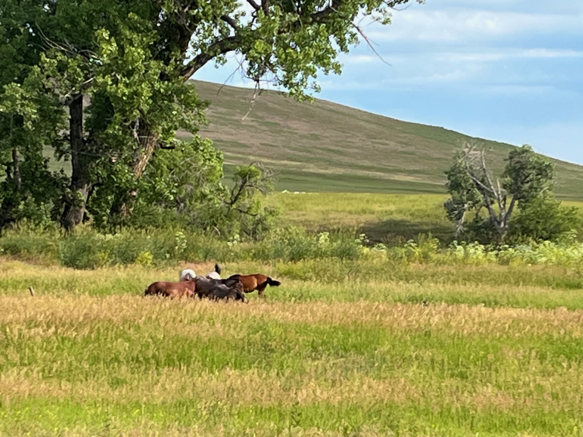 Tbd Tbd Property Photo 8