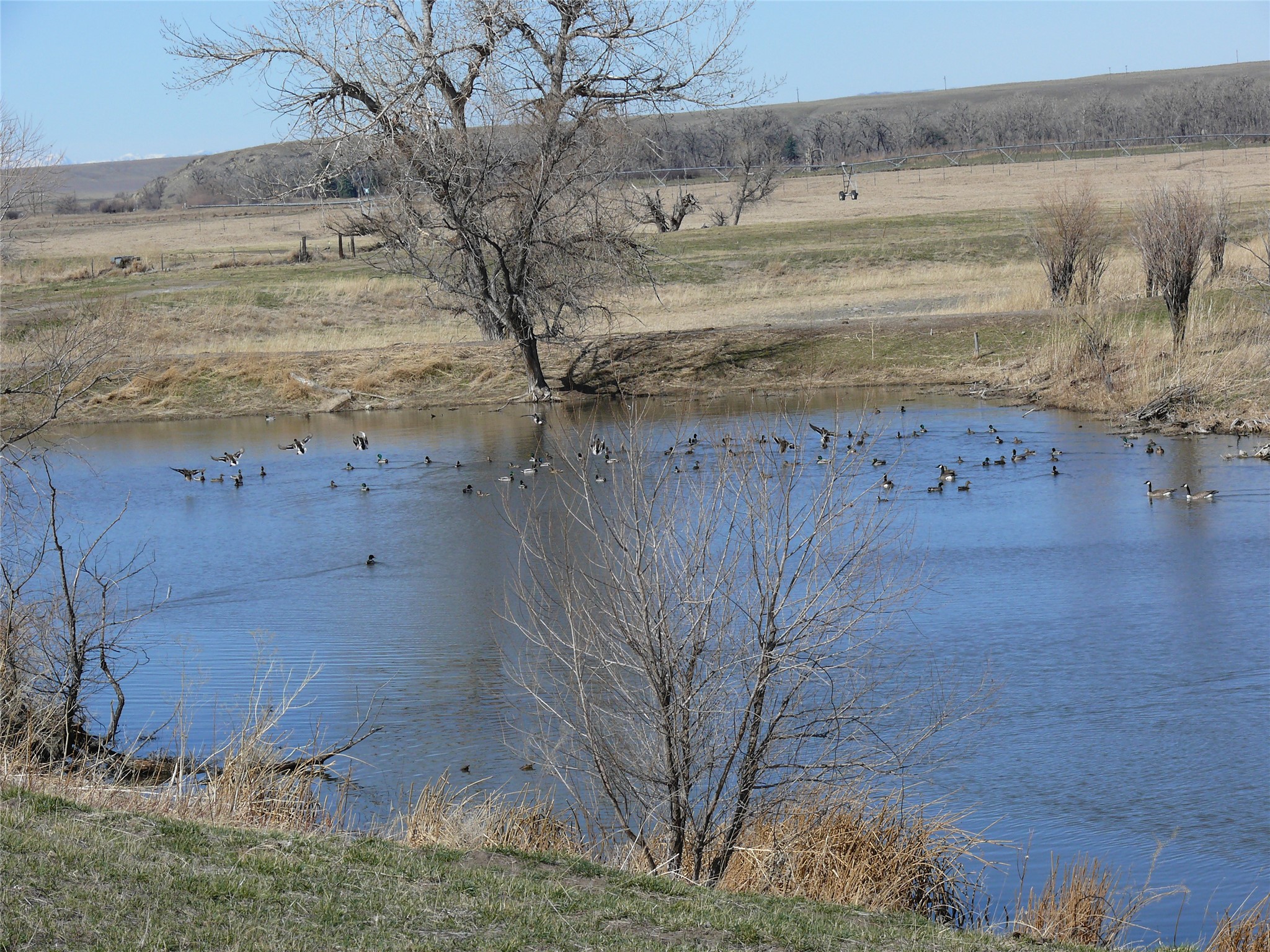 Tbd Tbd Property Photo 13