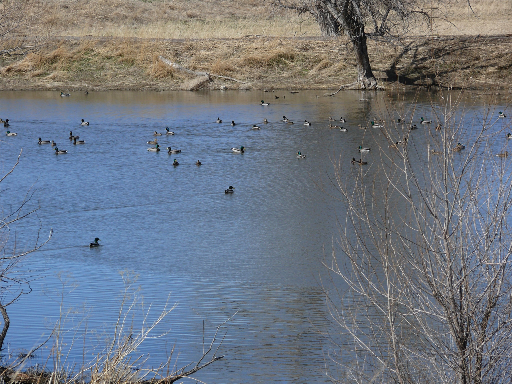 Tbd Tbd Property Photo 14
