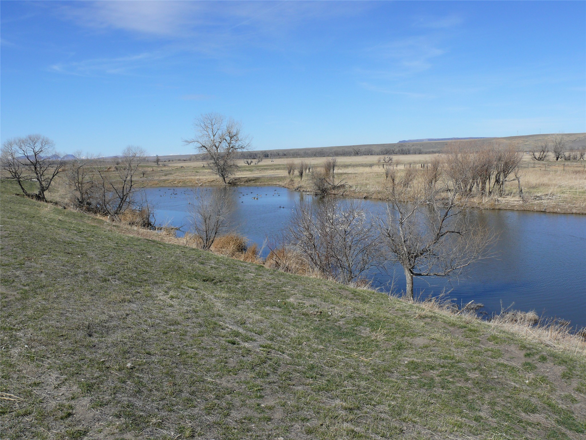 Tbd Tbd Property Photo 15