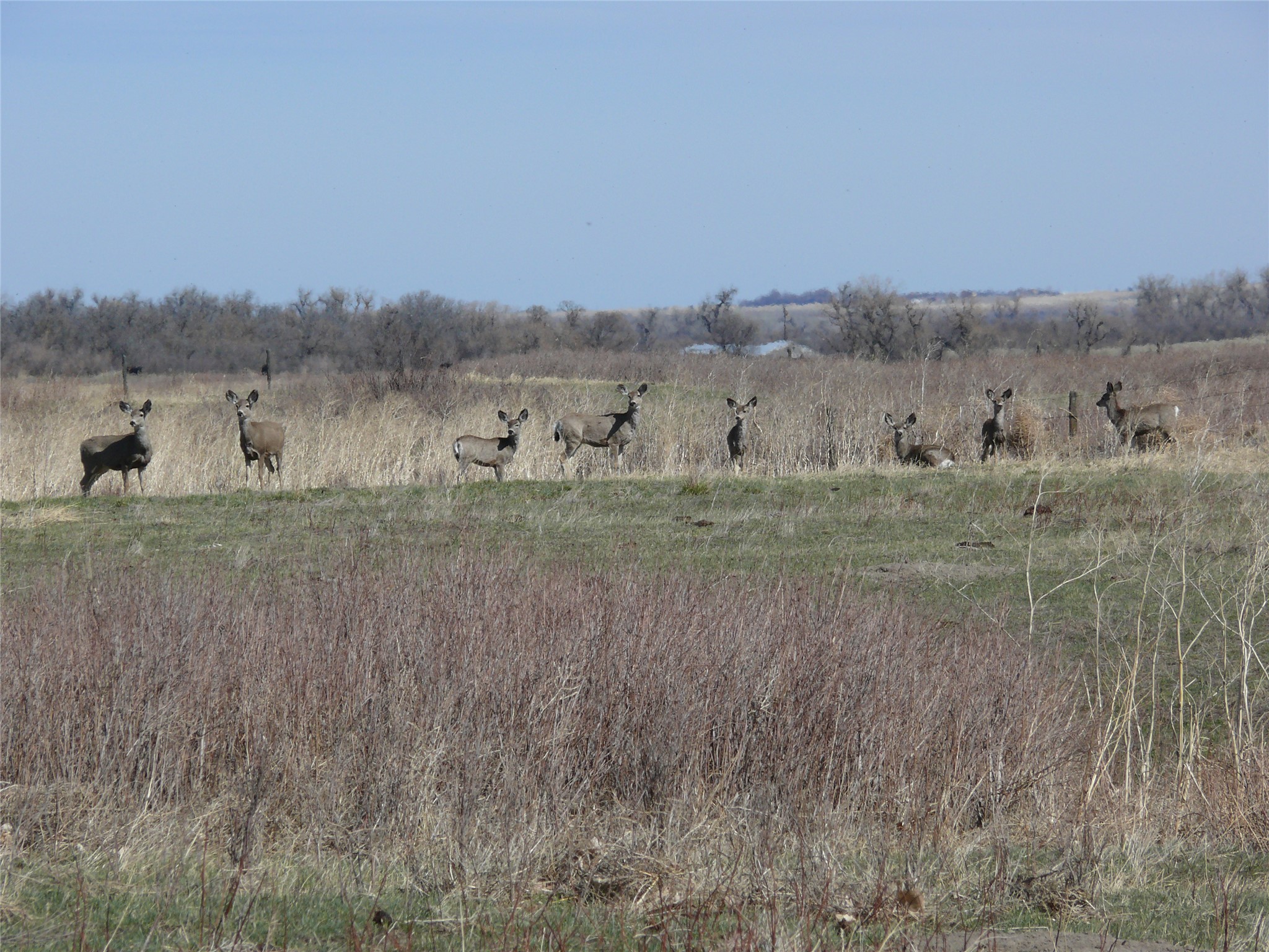 Tbd Tbd Property Photo 23