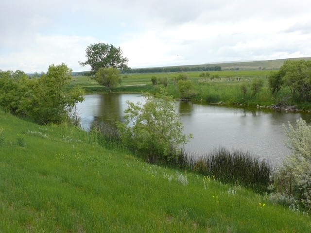 Tbd Tbd Property Photo 72