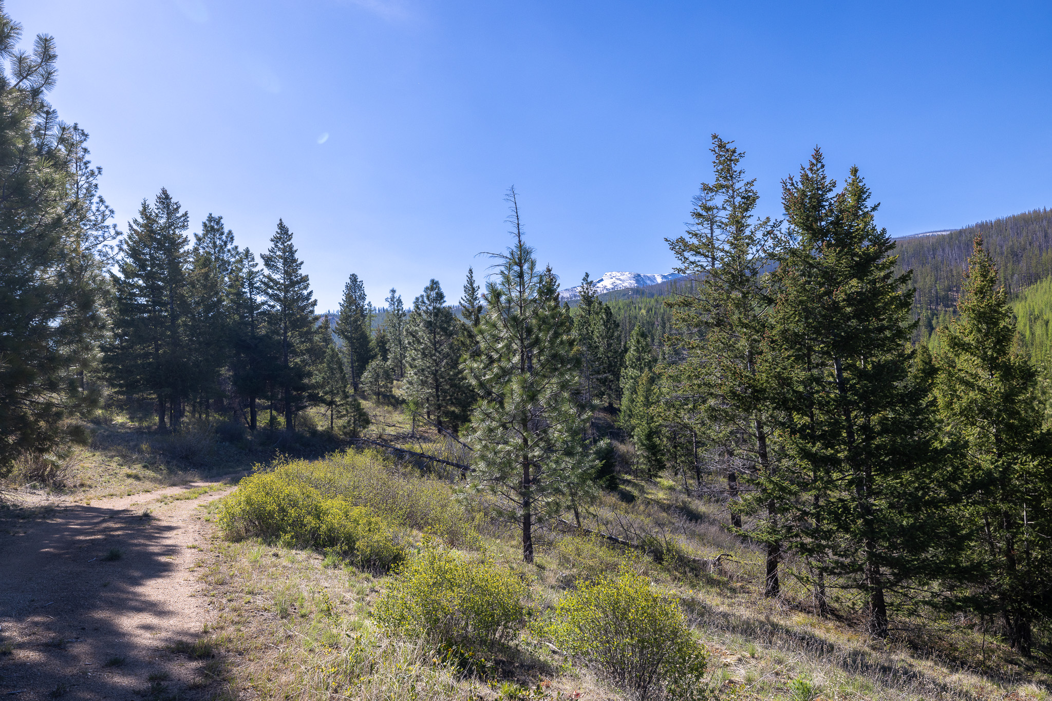 Lolo Peak Shadows Property Photo 35