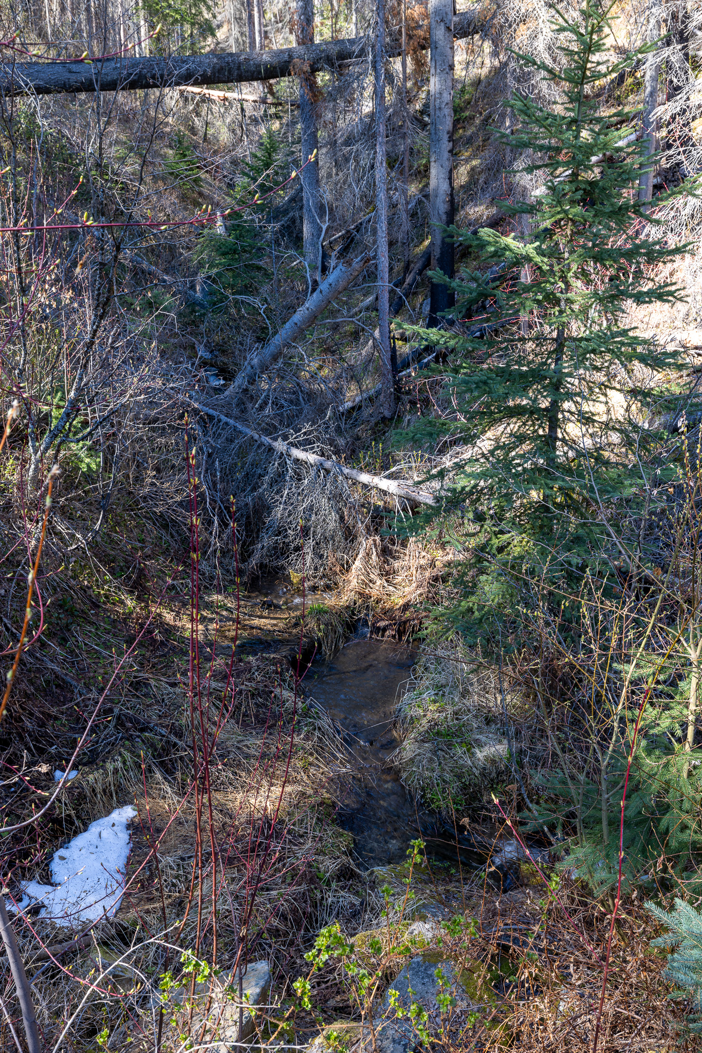 Lolo Peak Shadows Property Photo 45