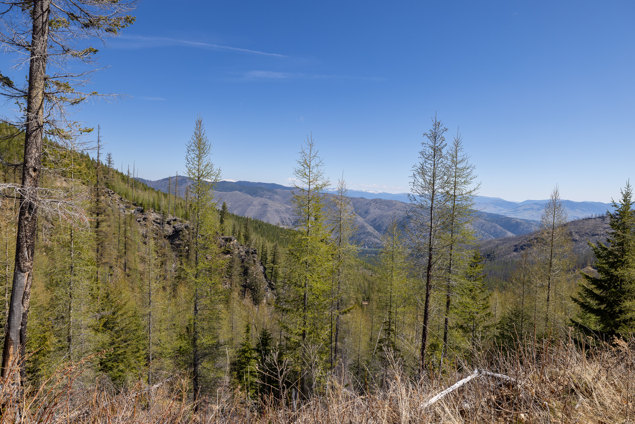 Lolo Peak Shadows Property Photo 49