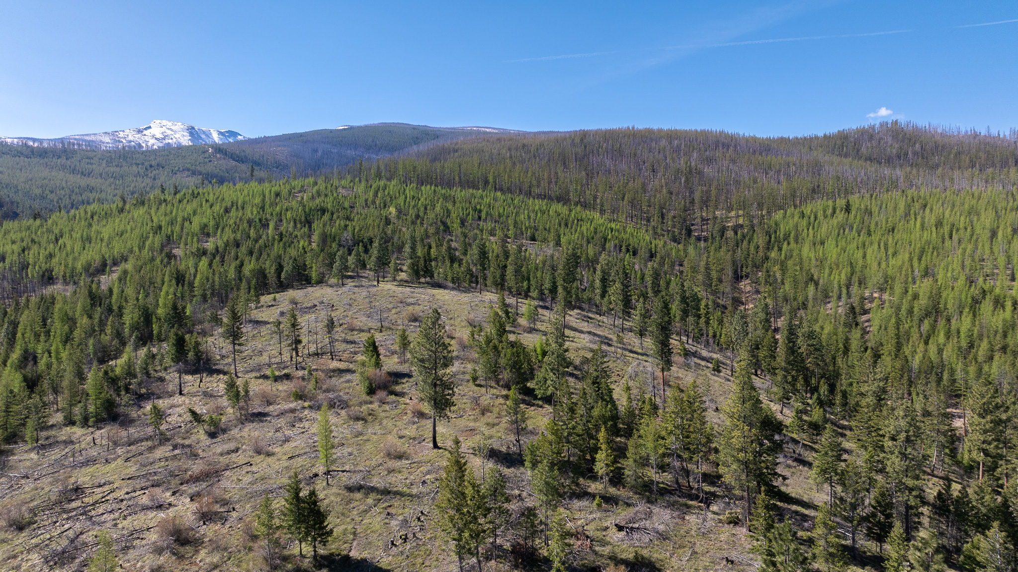 Lolo Peak Shadows Property Photo 58