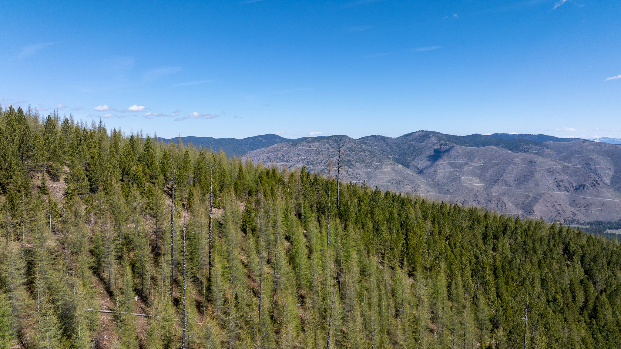 Lolo Peak Shadows Property Photo 63