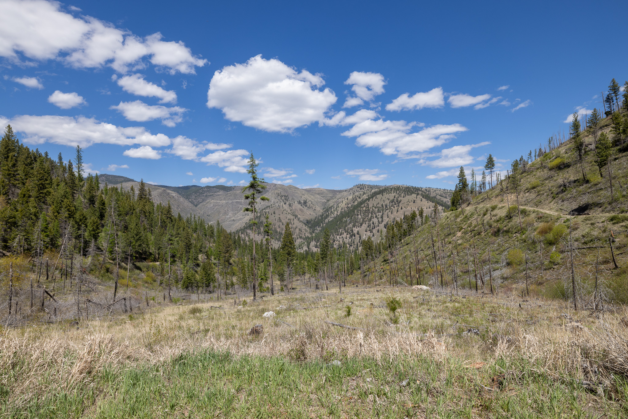 Lolo Peak Shadows Property Photo 86