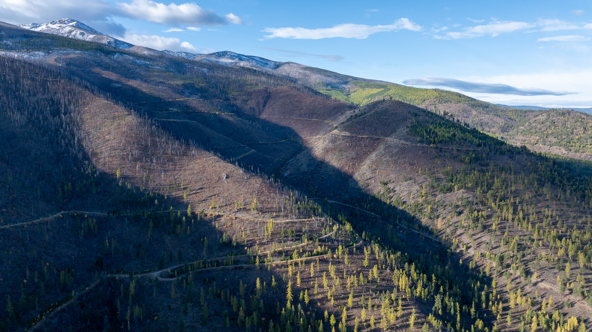 Lolo Peak Shadows Property Photo 96