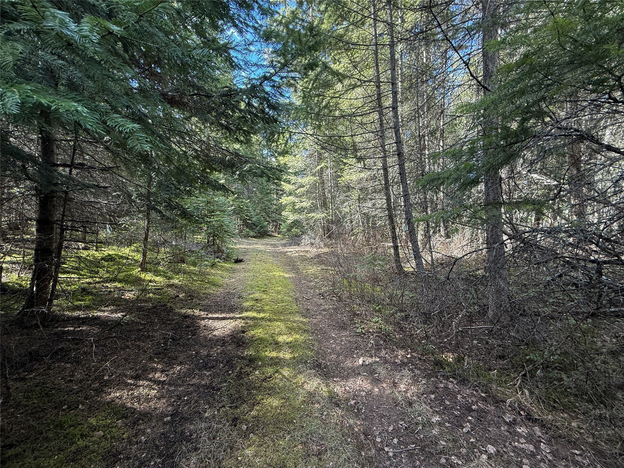 N/a Wapiti Point Drive Property Photo 5
