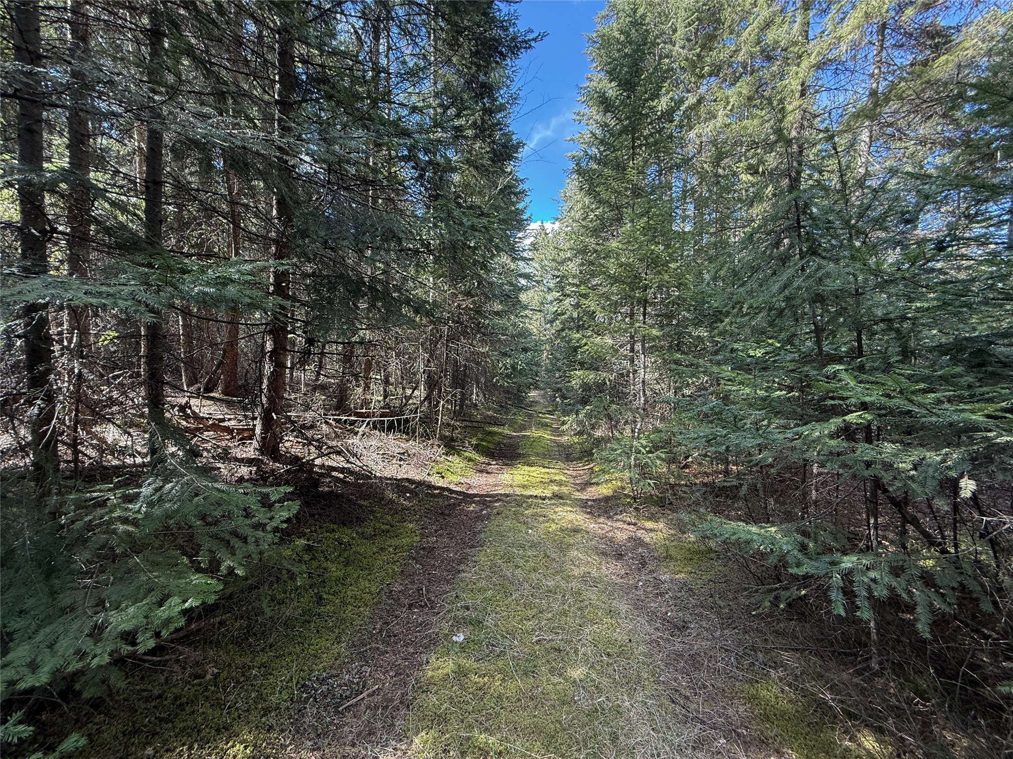 N/a Wapiti Point Drive Property Photo 6