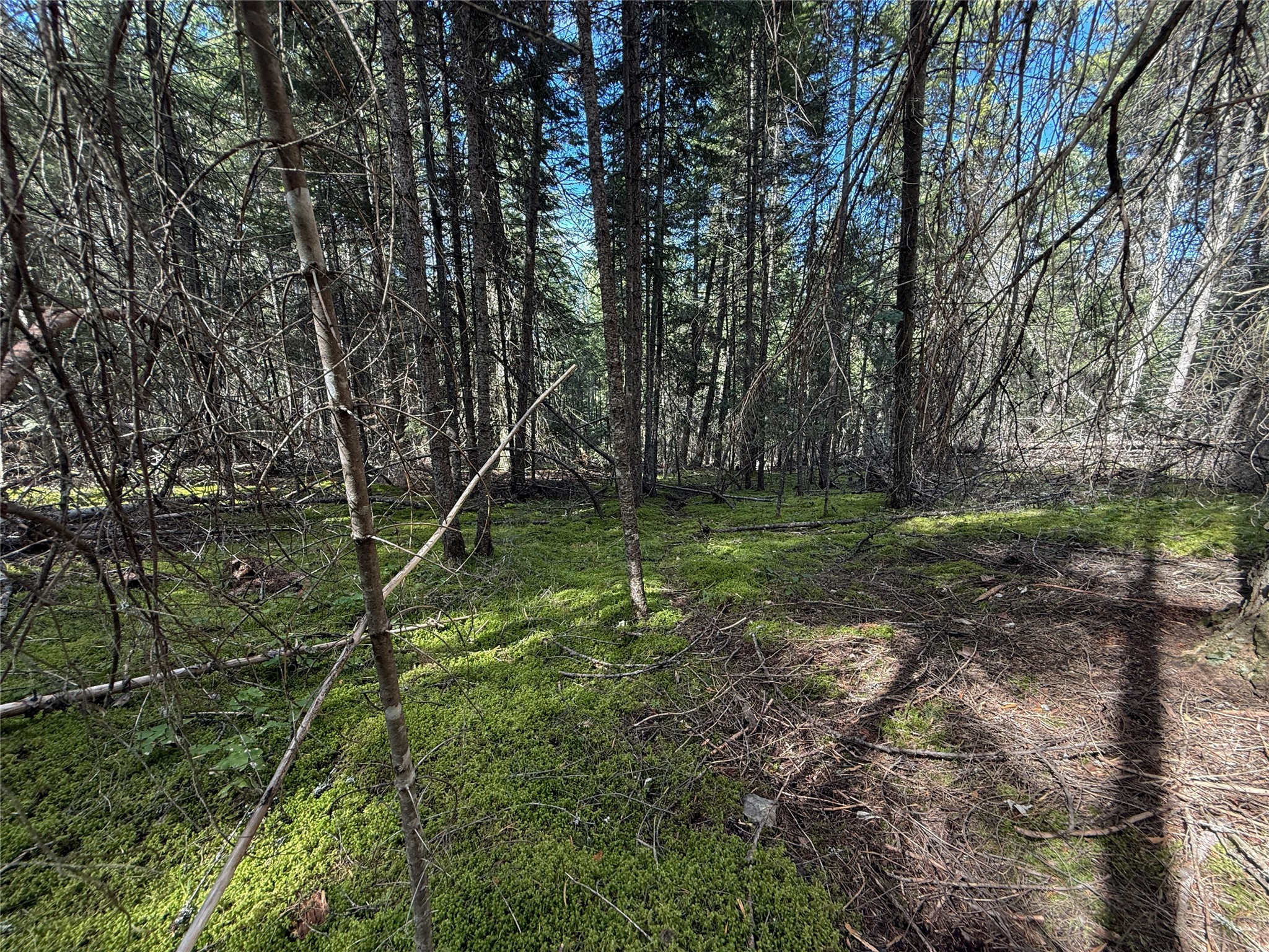 N/a Wapiti Point Drive Property Photo 7