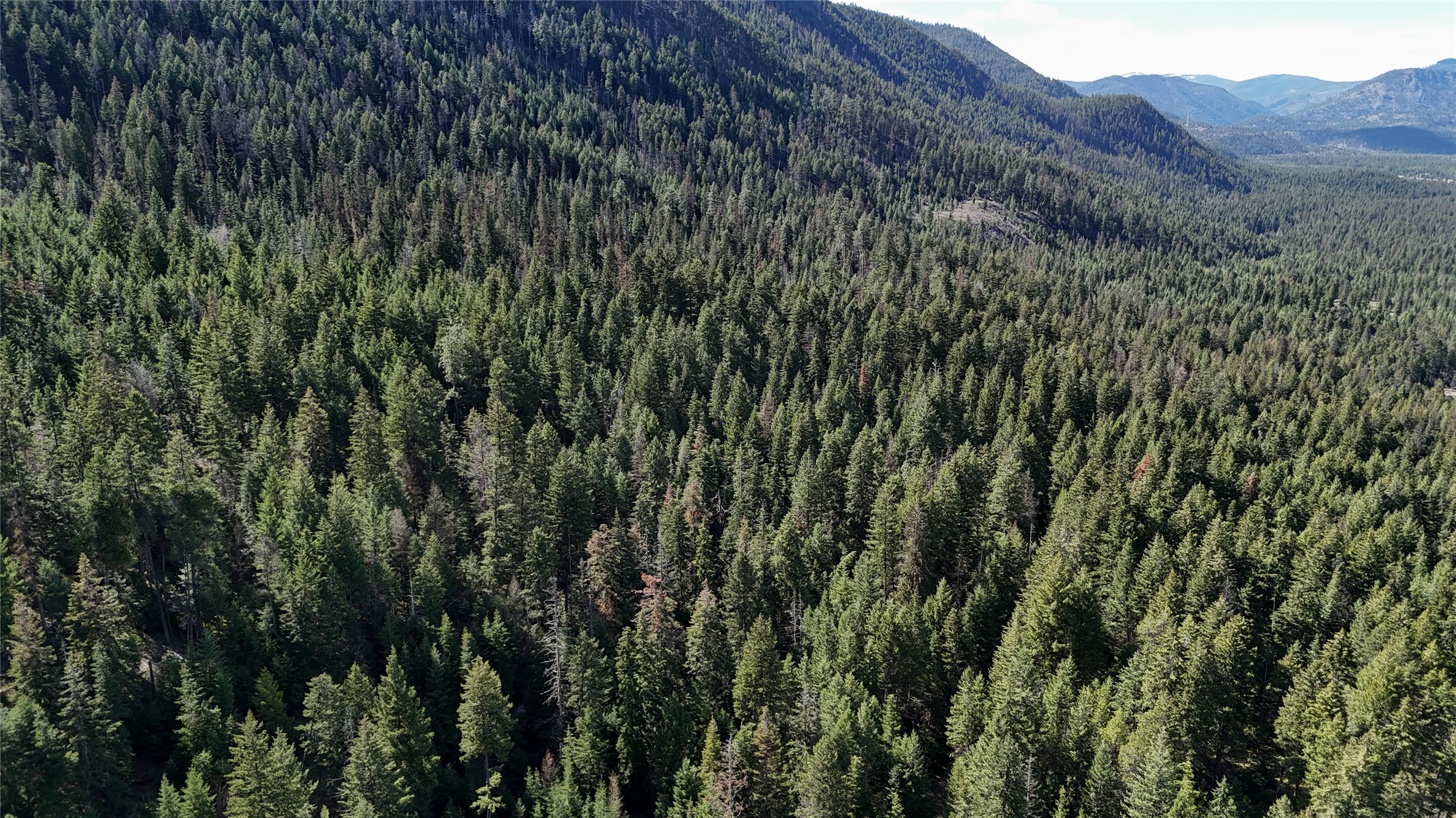 N/a Wapiti Point Drive Property Photo 8