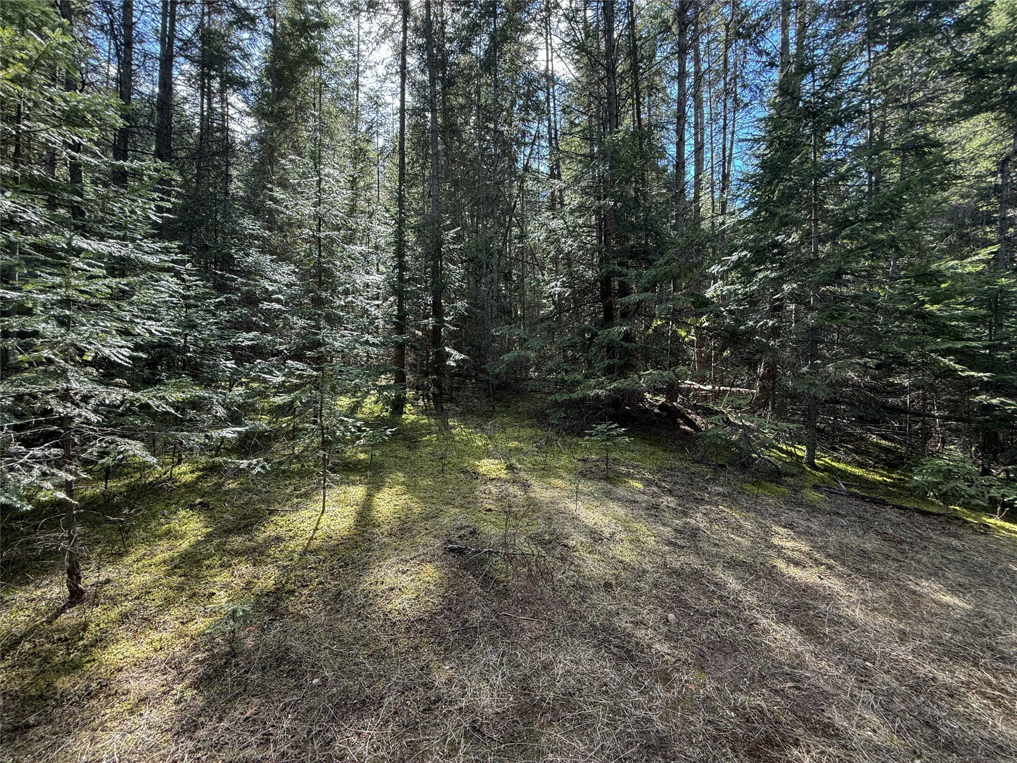 N/a Wapiti Point Drive Property Photo 9