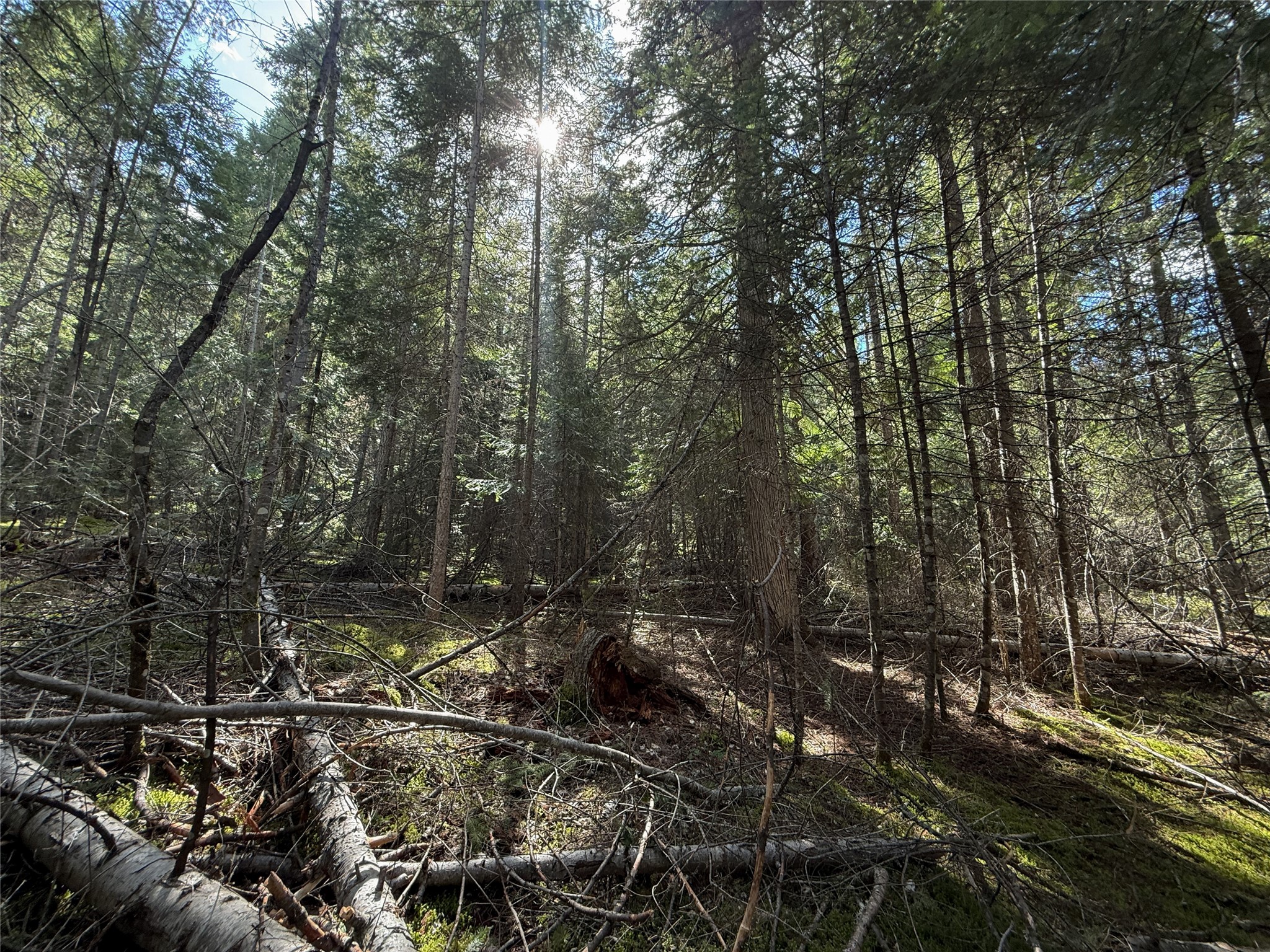 N/a Wapiti Point Drive Property Photo 10