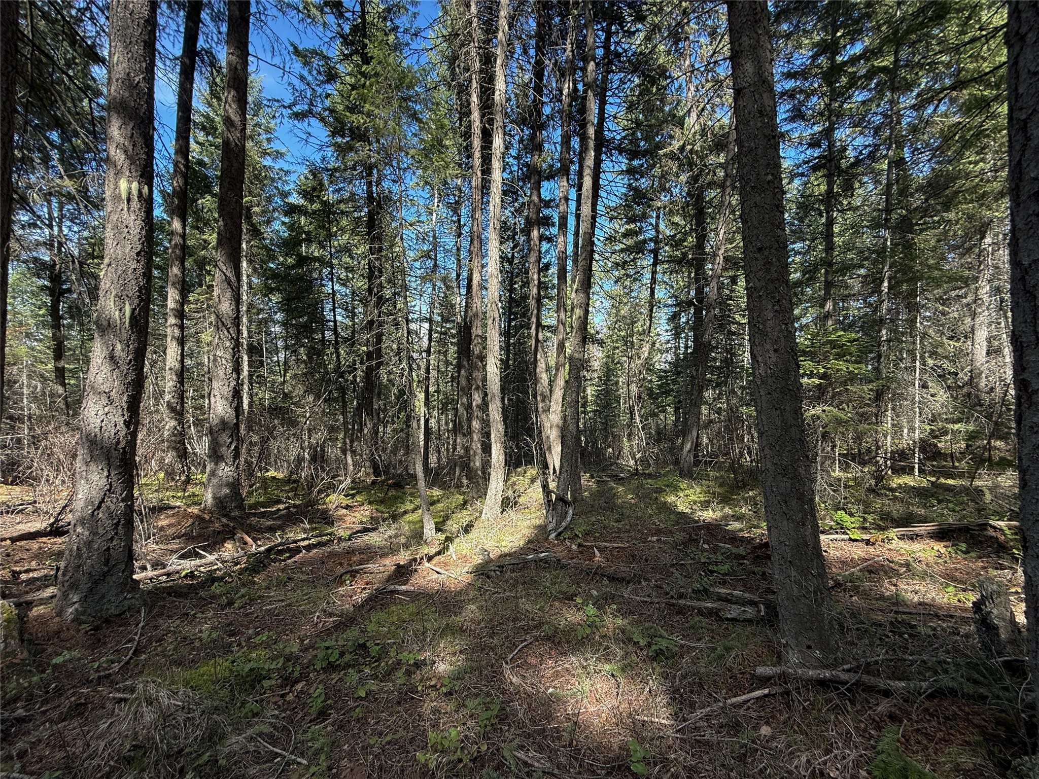 N/a Wapiti Point Drive Property Photo 11