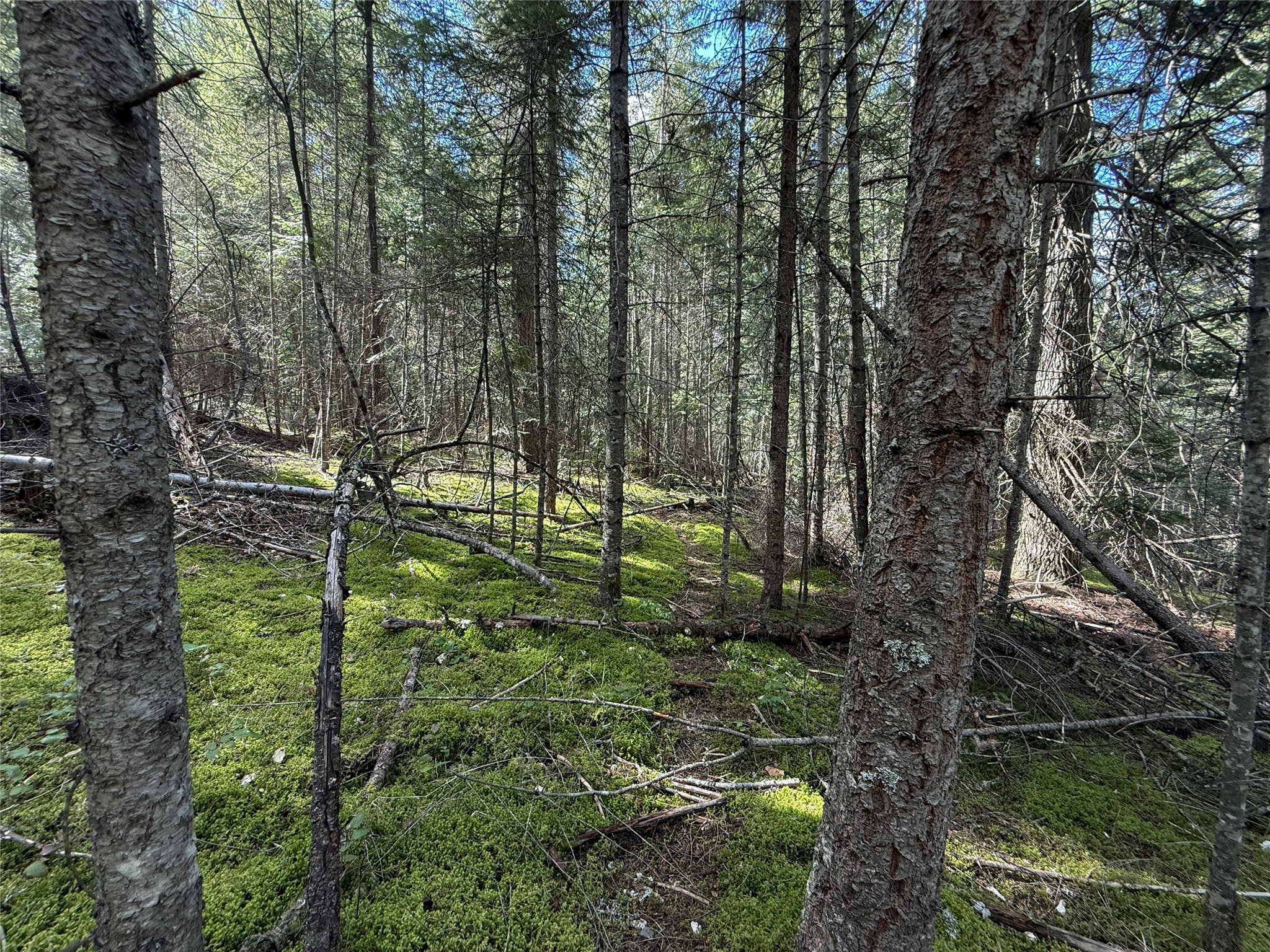 N/a Wapiti Point Drive Property Photo 12