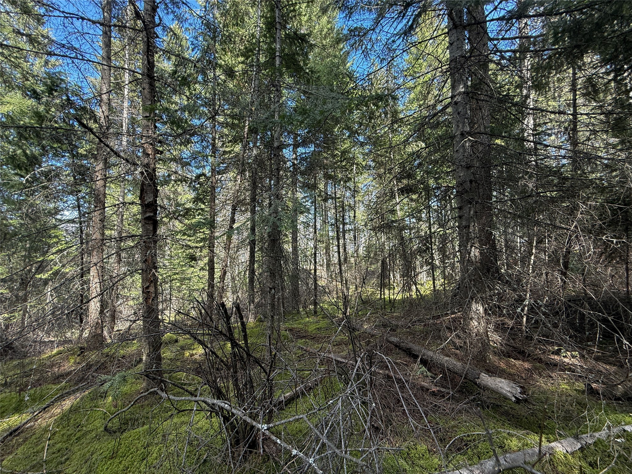 N/a Wapiti Point Drive Property Photo 13