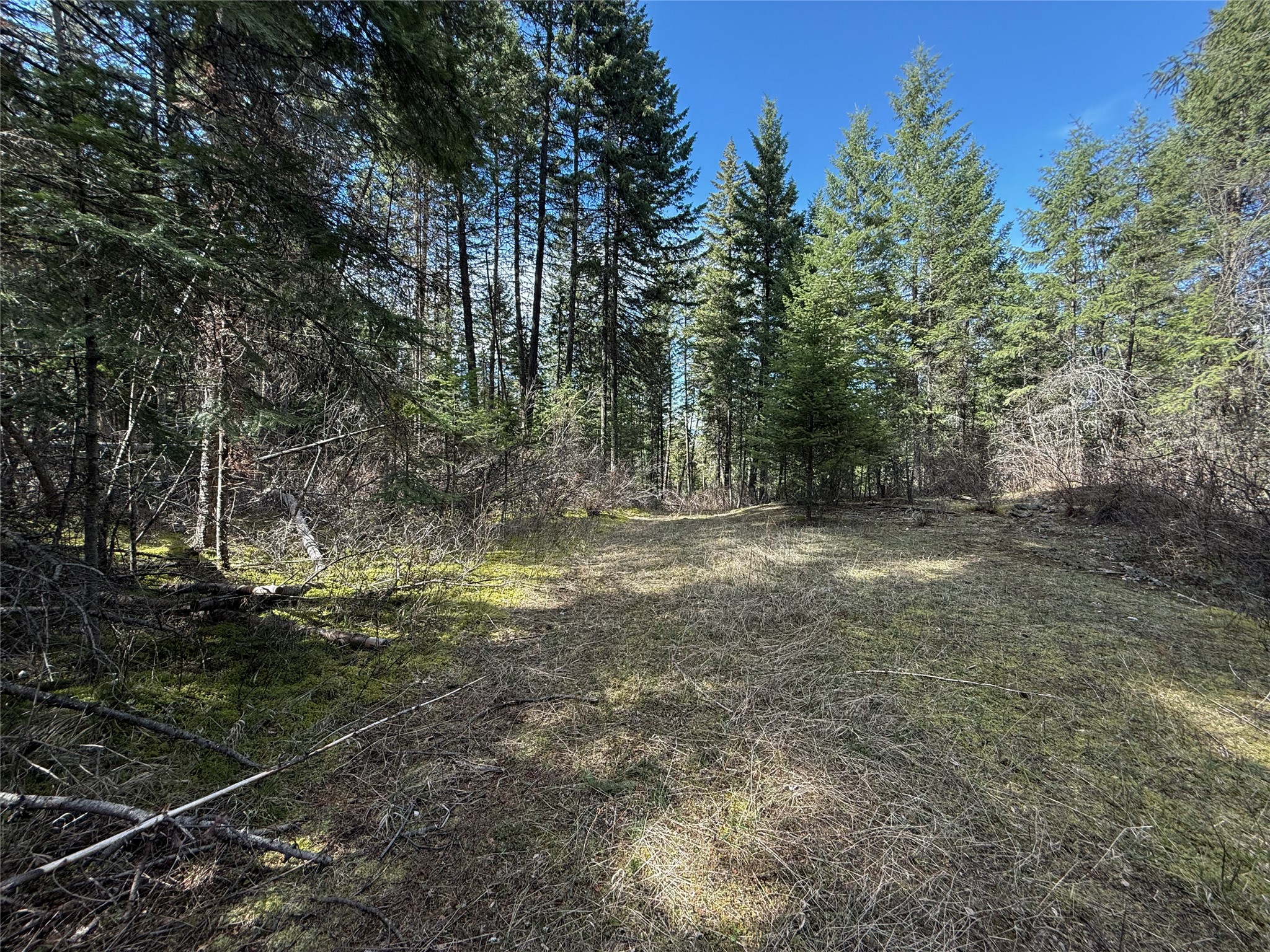 N/a Wapiti Point Drive Property Photo 14