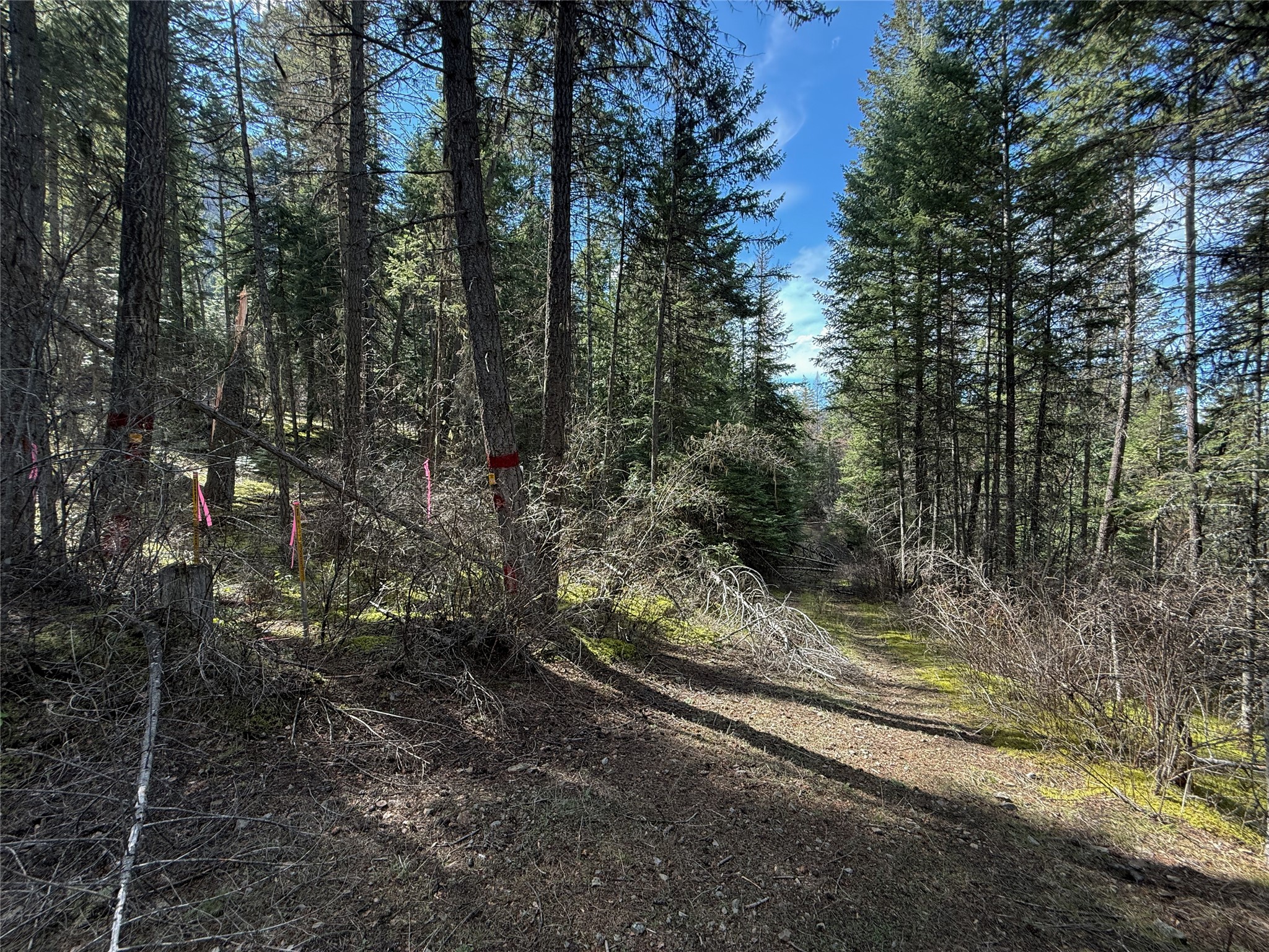 N/a Wapiti Point Drive Property Photo 15
