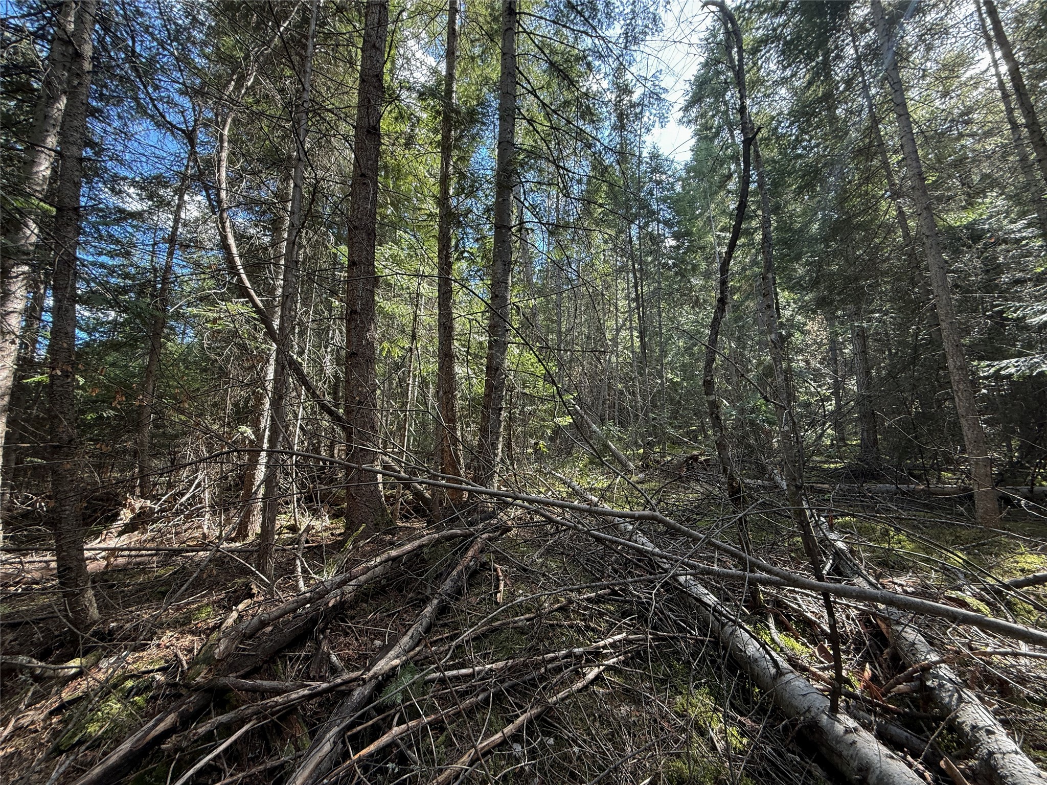 N/a Wapiti Point Drive Property Photo 16