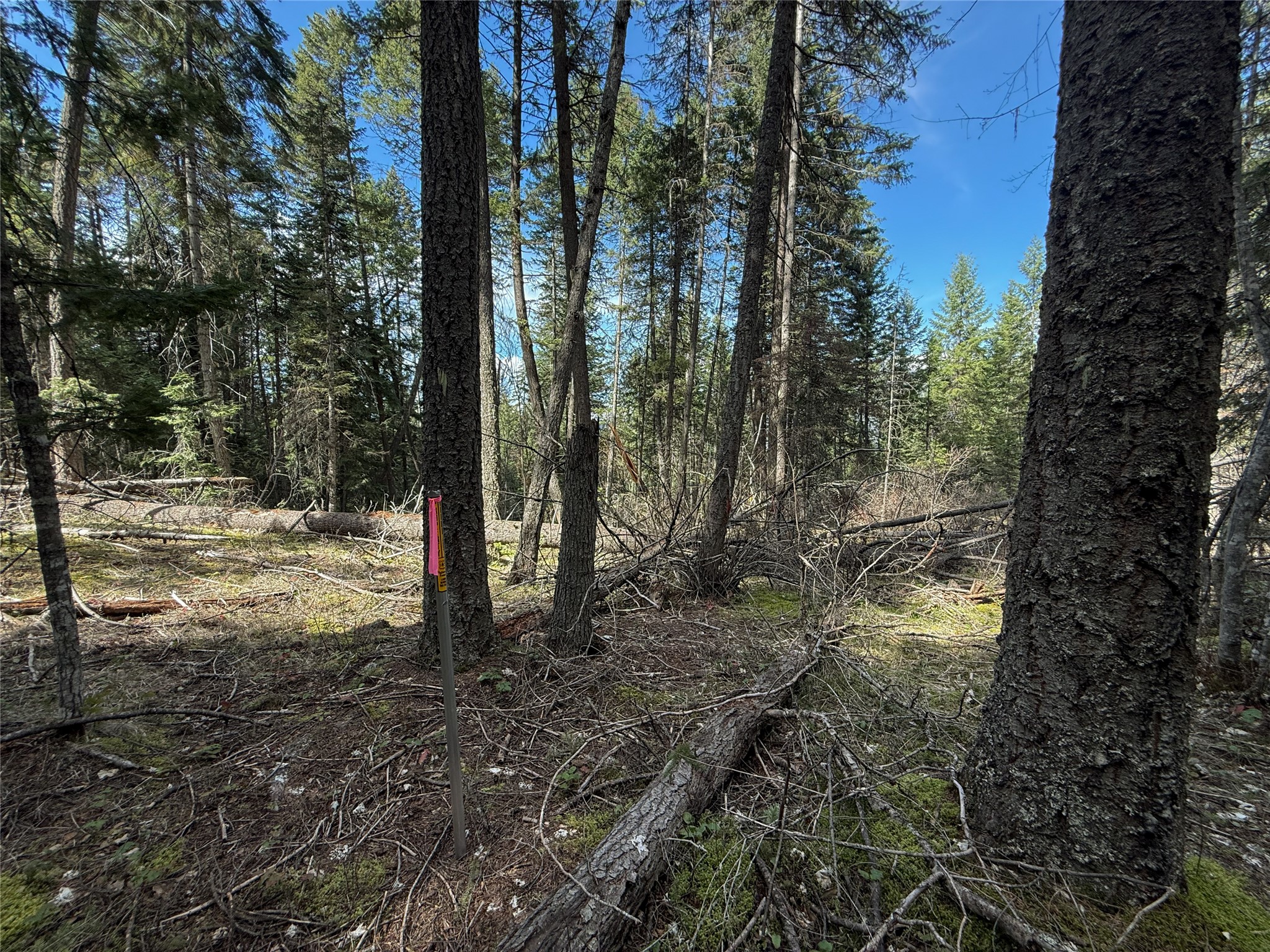 N/a Wapiti Point Drive Property Photo 17