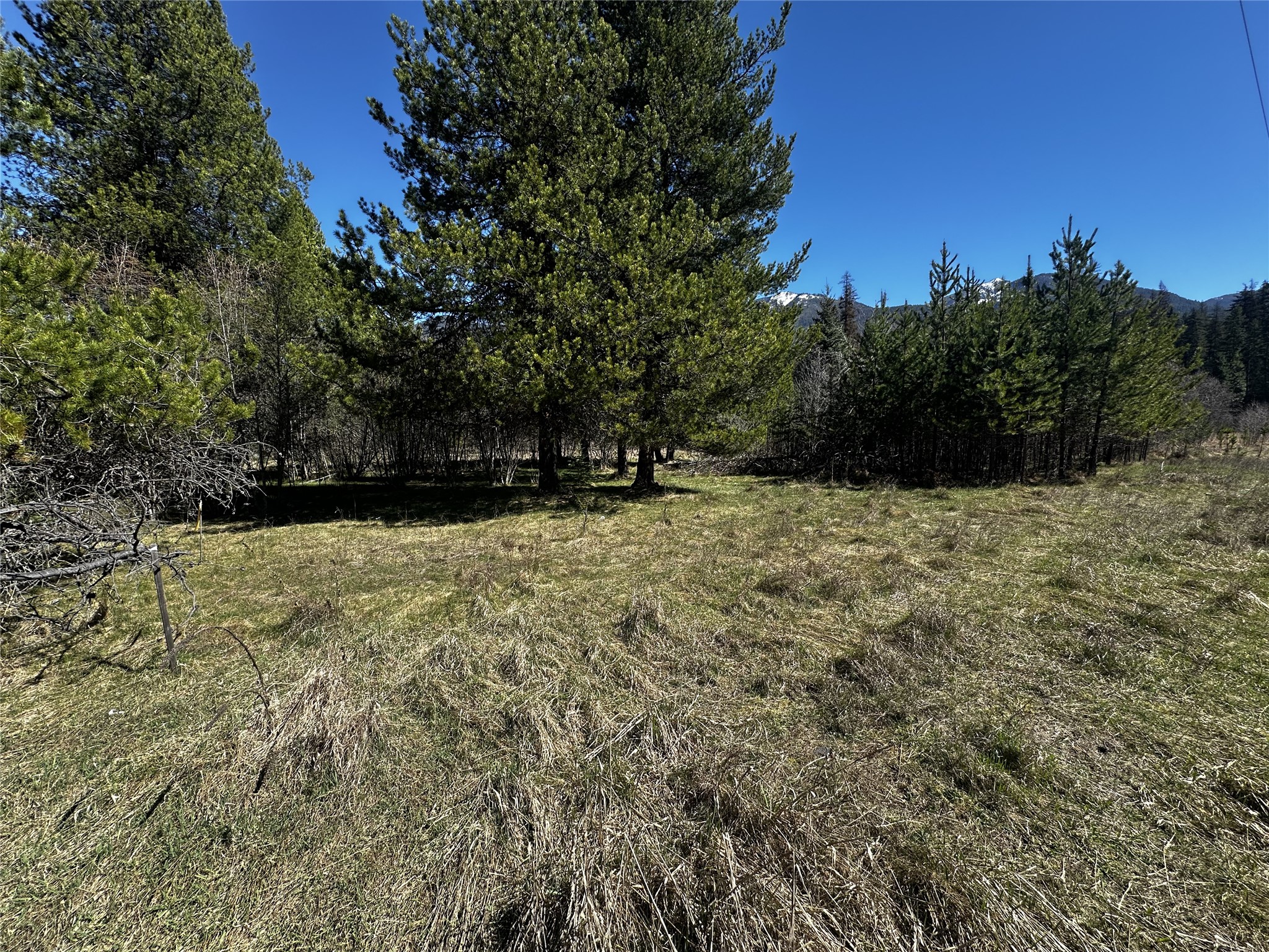 186 Tailback Road Property Photo 2