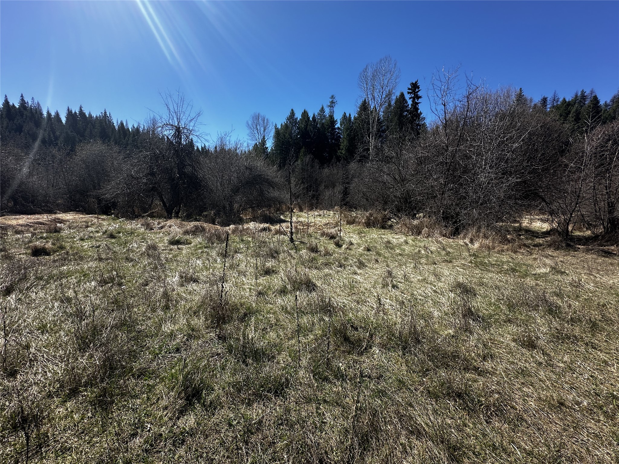 186 Tailback Road Property Photo 3