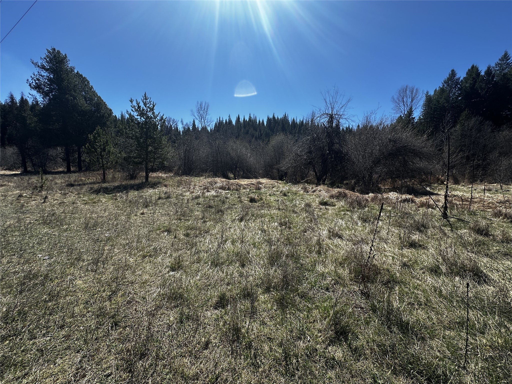 186 Tailback Road Property Photo 4