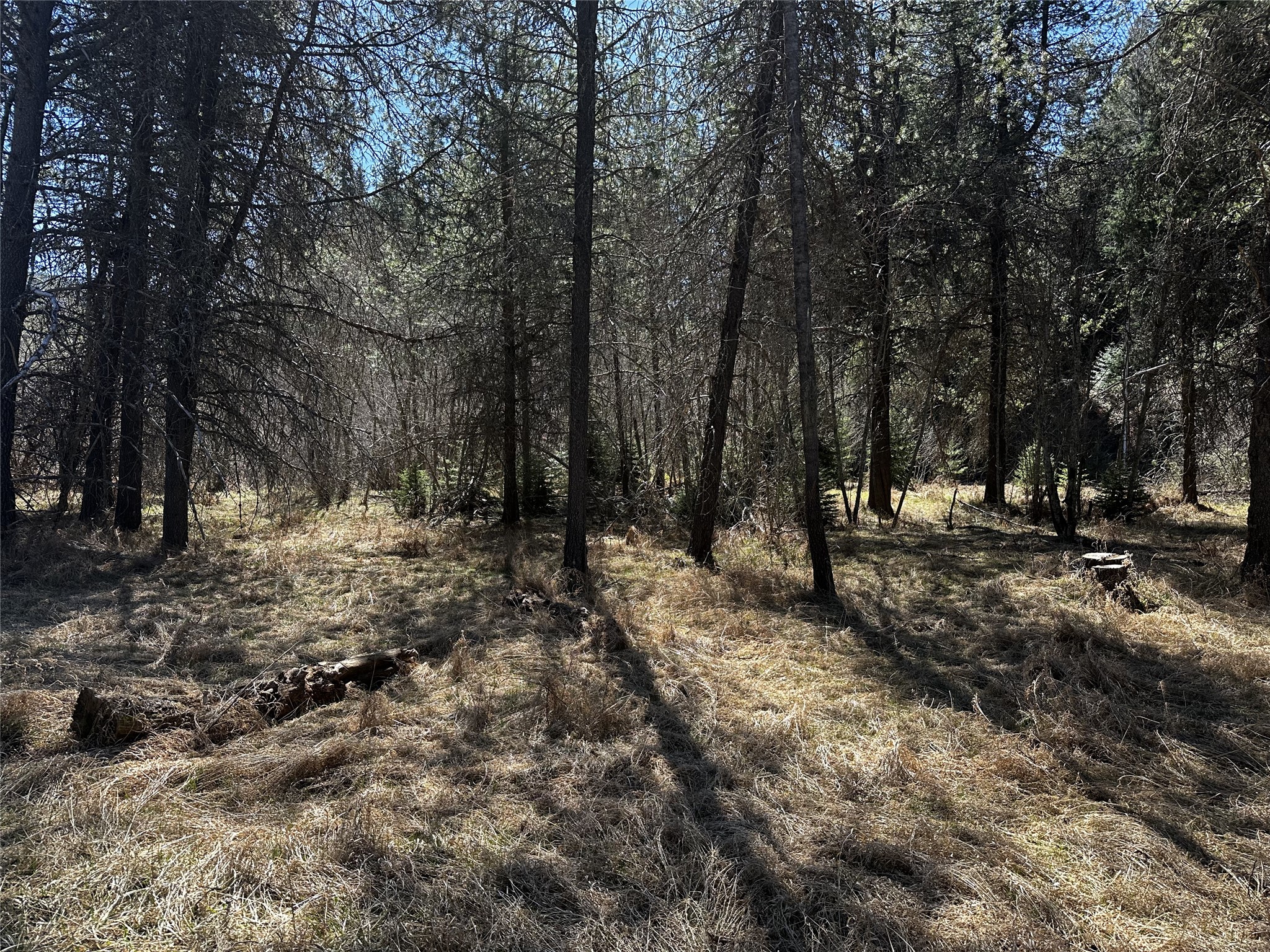 186 Tailback Road Property Photo 6