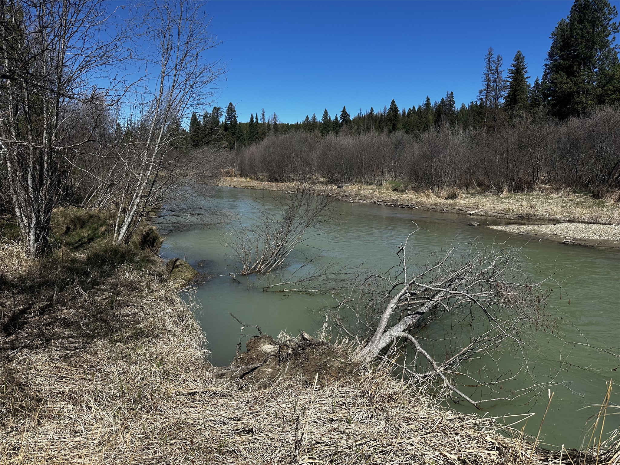 186 Tailback Road Property Photo 7