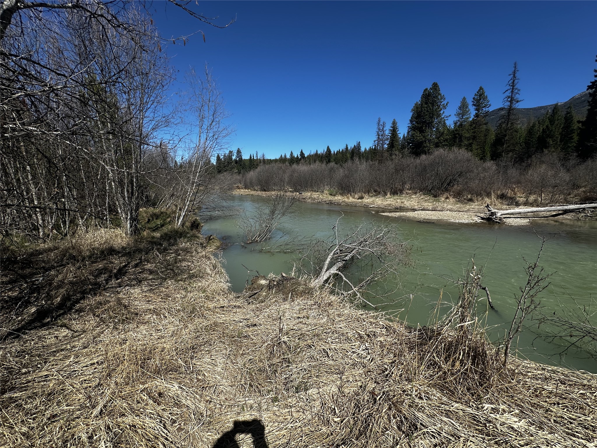 186 Tailback Road Property Photo 8