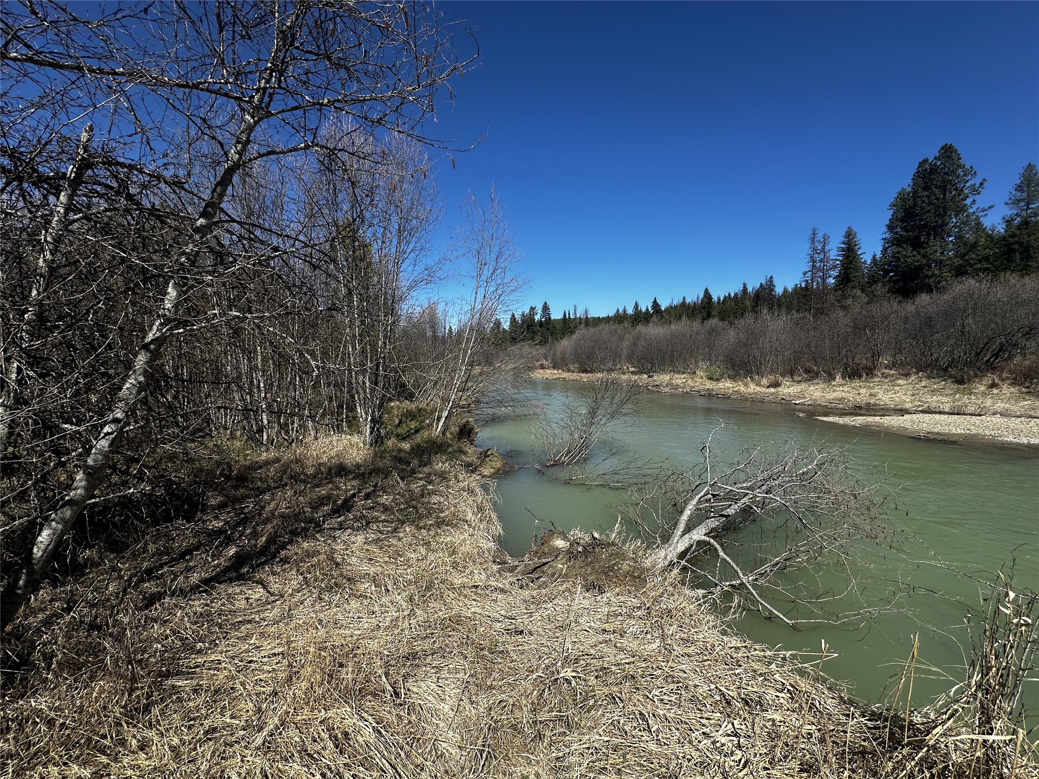 186 Tailback Road Property Photo 11