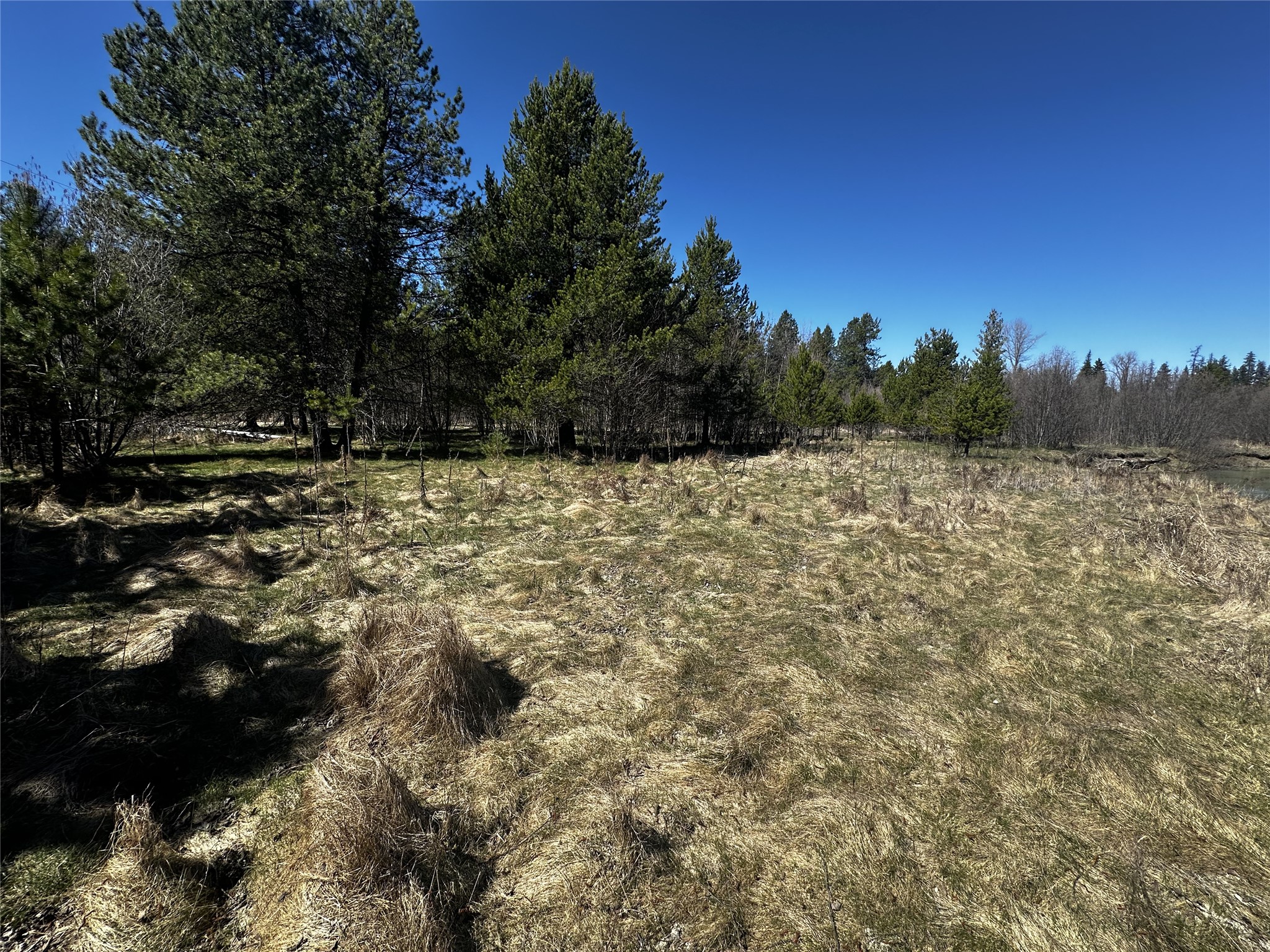 186 Tailback Road Property Photo 12