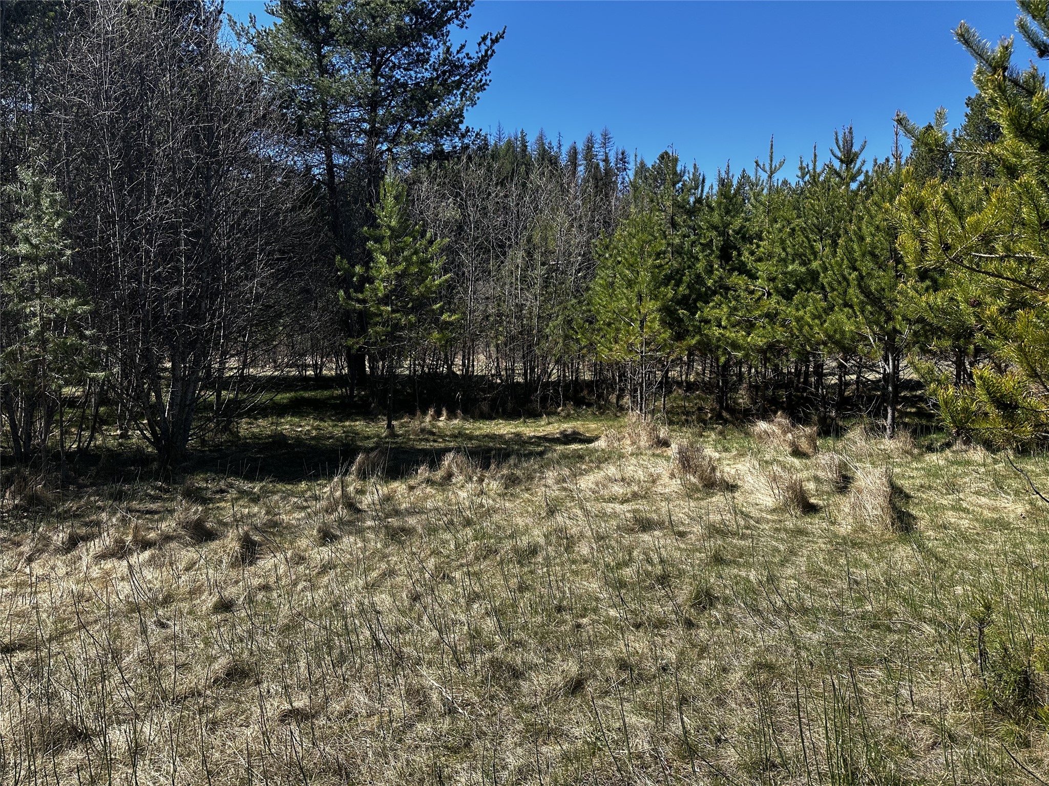 186 Tailback Road Property Photo 17