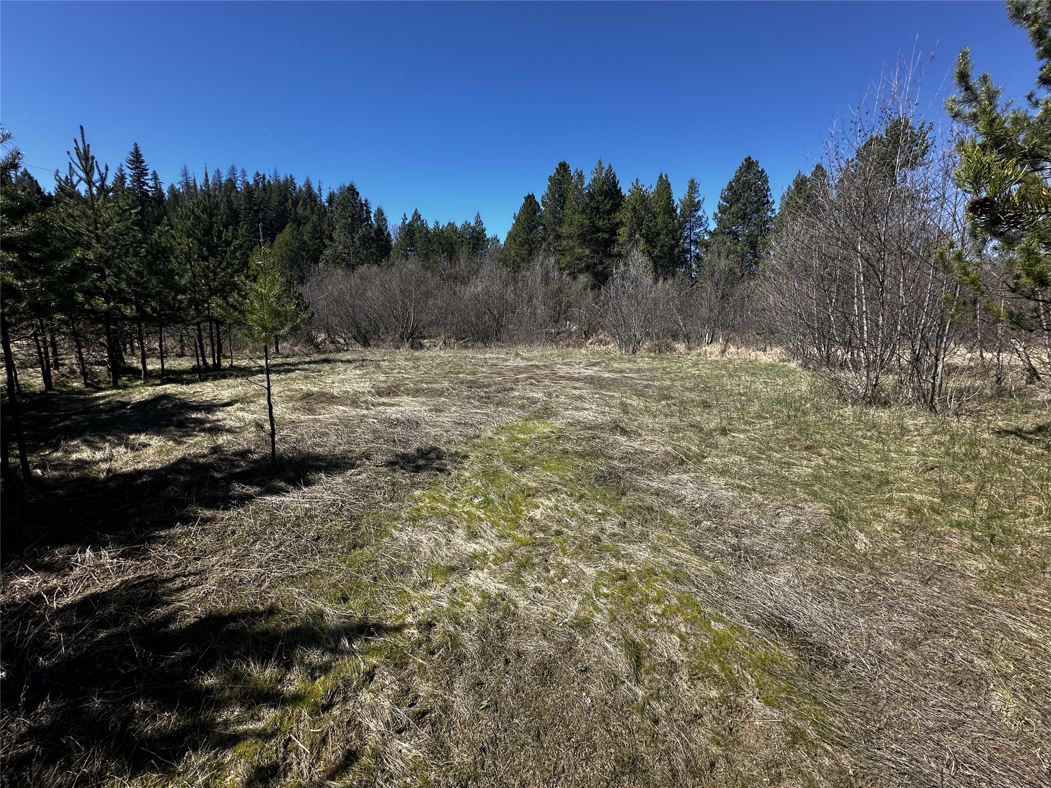 186 Tailback Road Property Photo 18