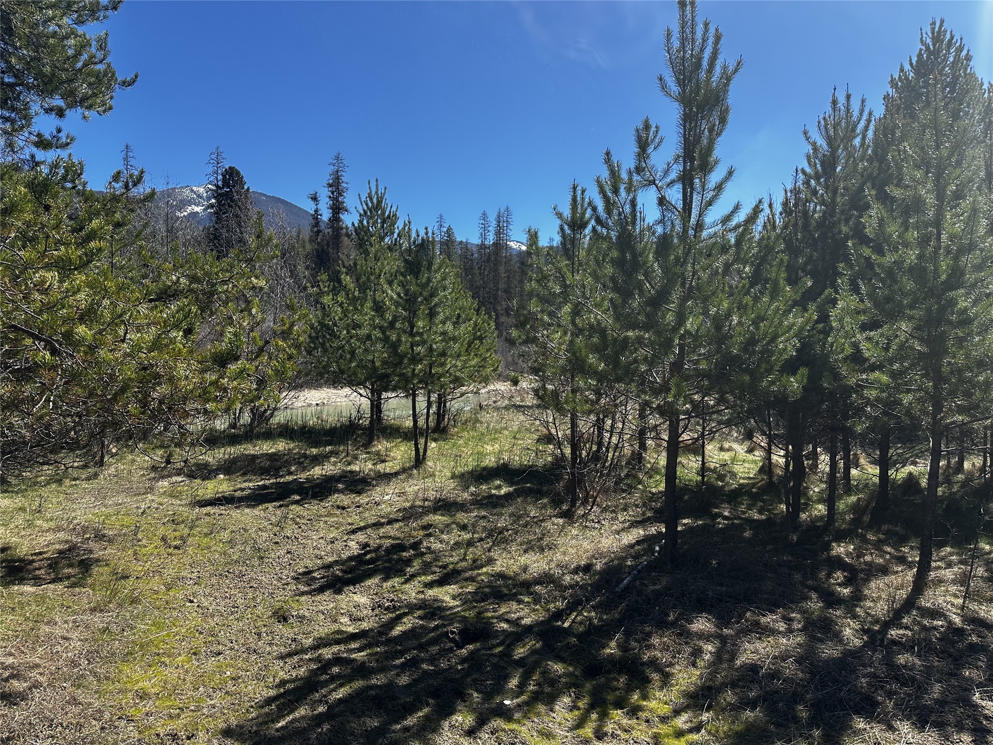 186 Tailback Road Property Photo 19