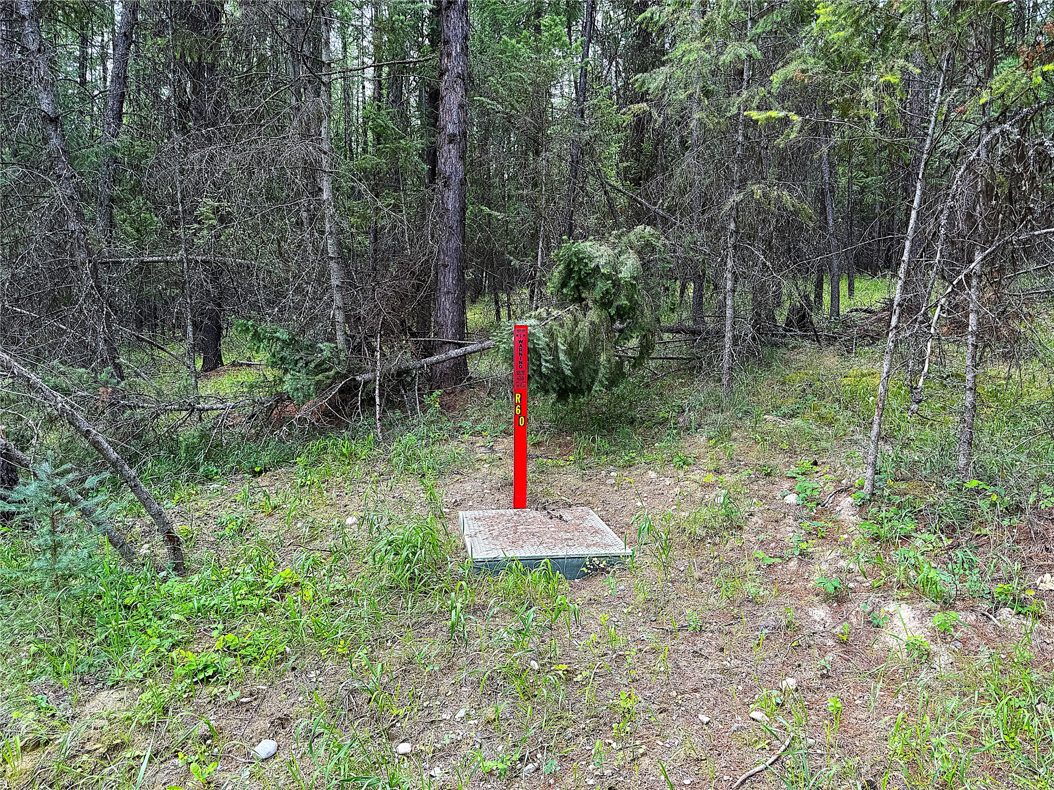 Nhn Pomeroy Trail Property Photo 5