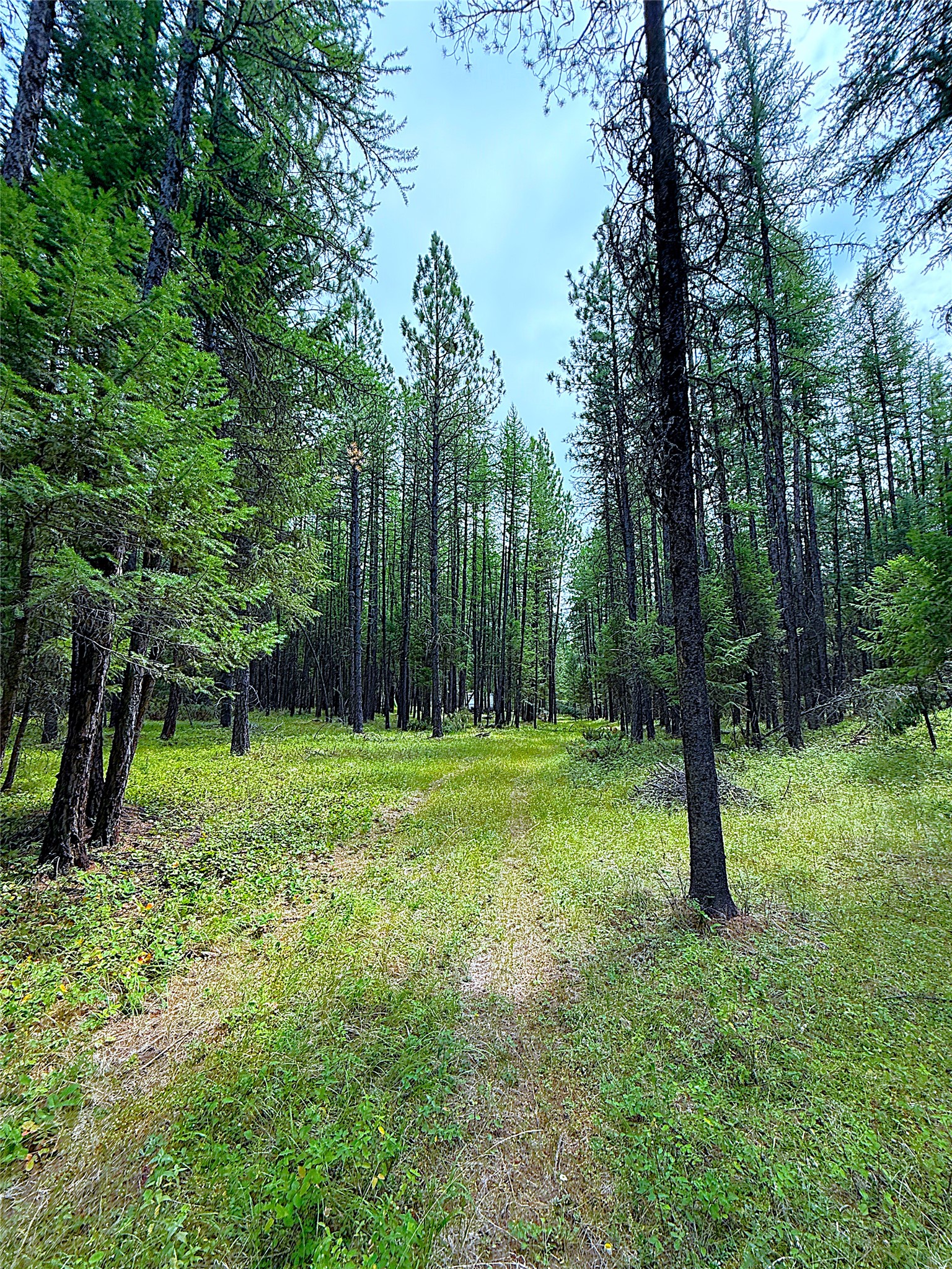 Nhn Pomeroy Trail Property Photo 6