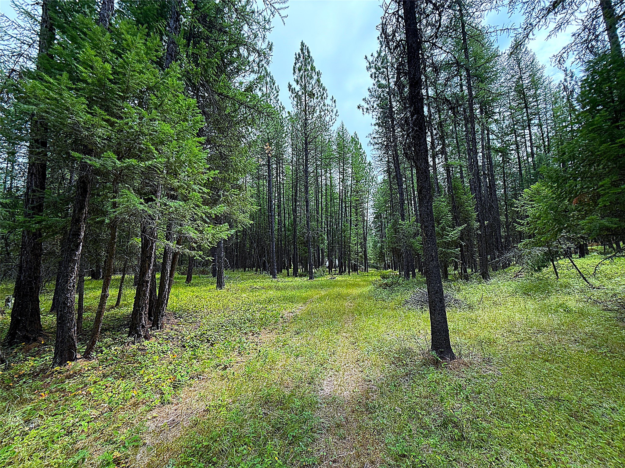 Nhn Pomeroy Trail Property Photo 7