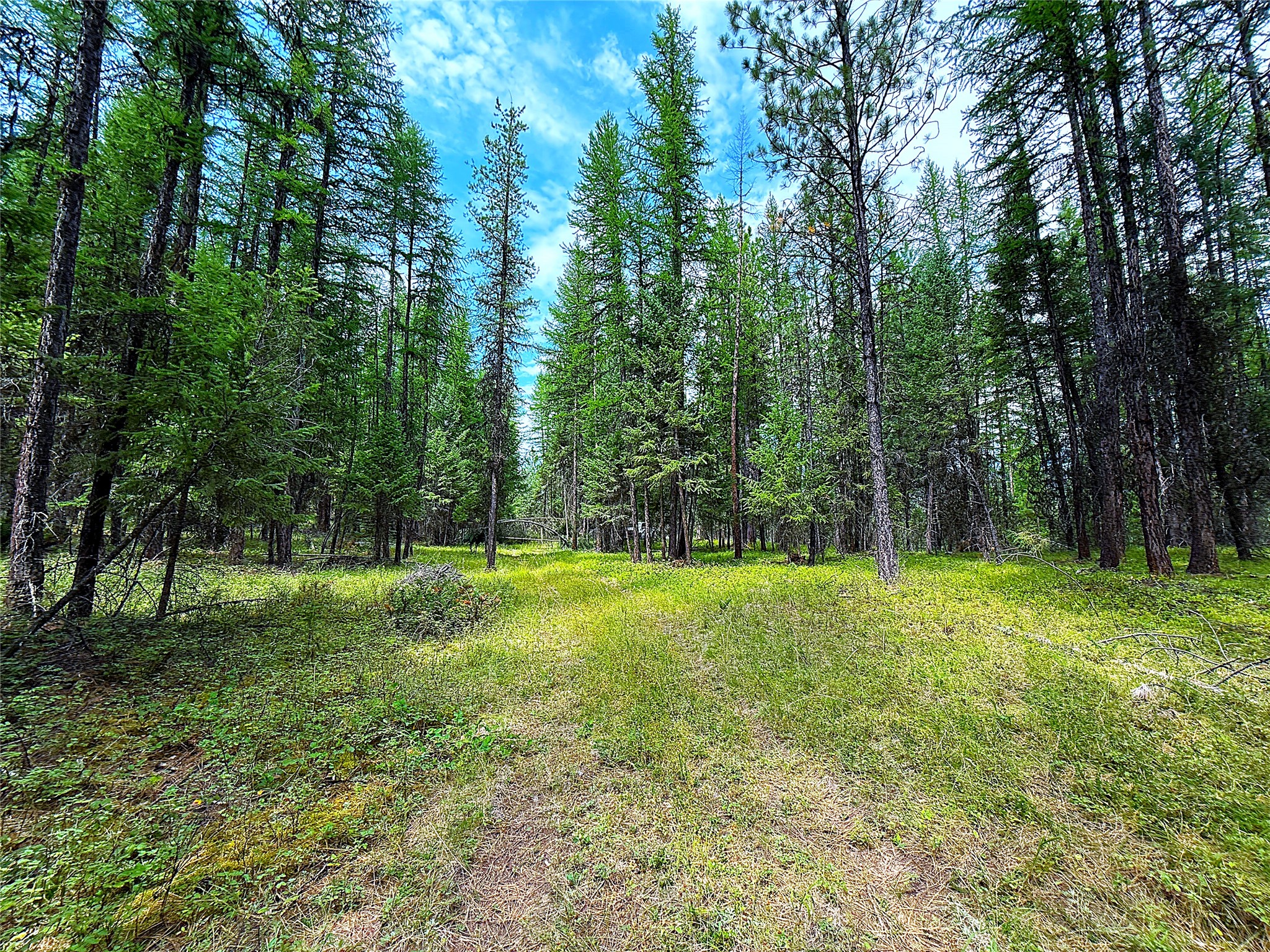 Nhn Pomeroy Trail Property Photo 8