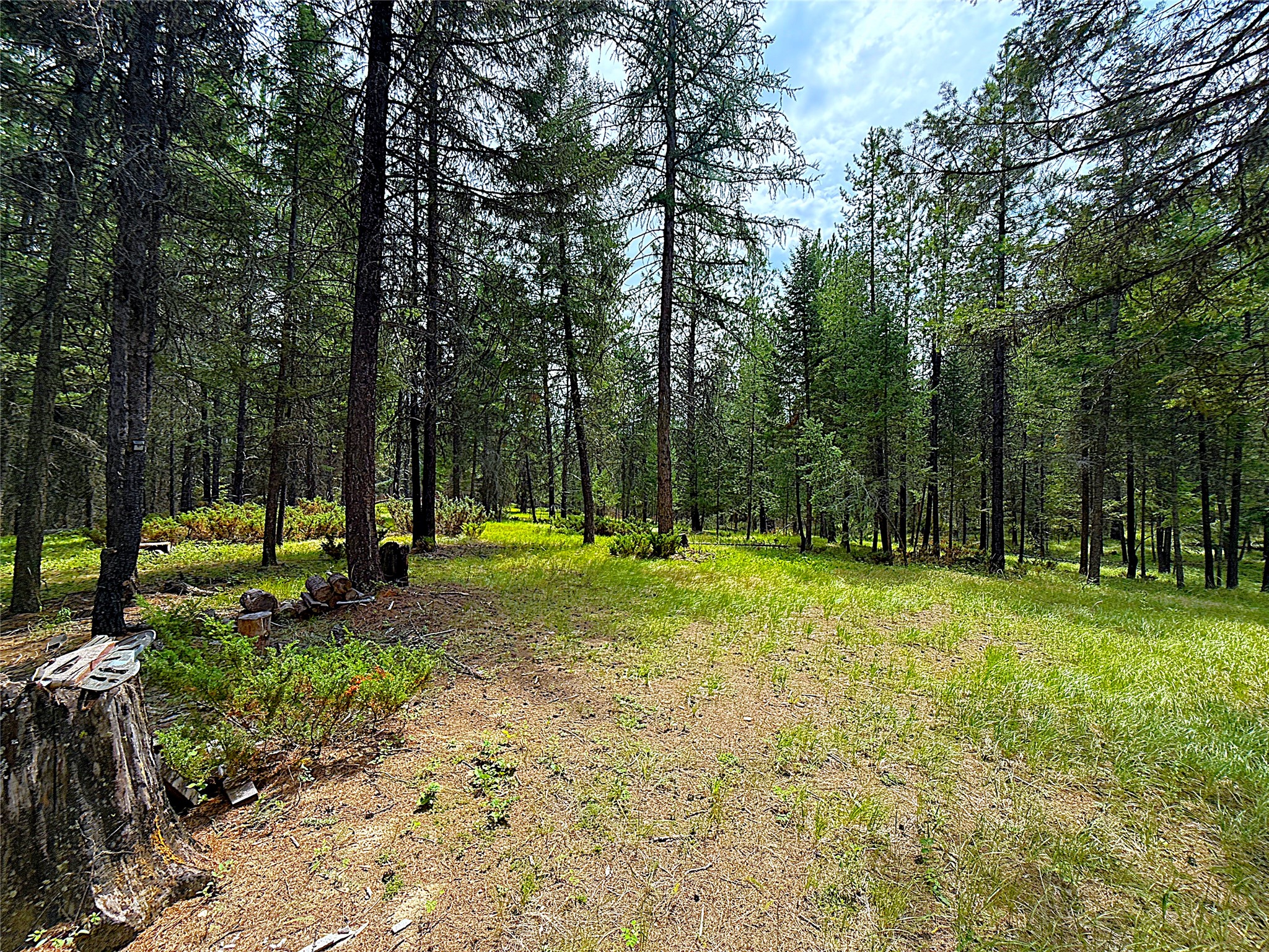 Nhn Pomeroy Trail Property Photo 9
