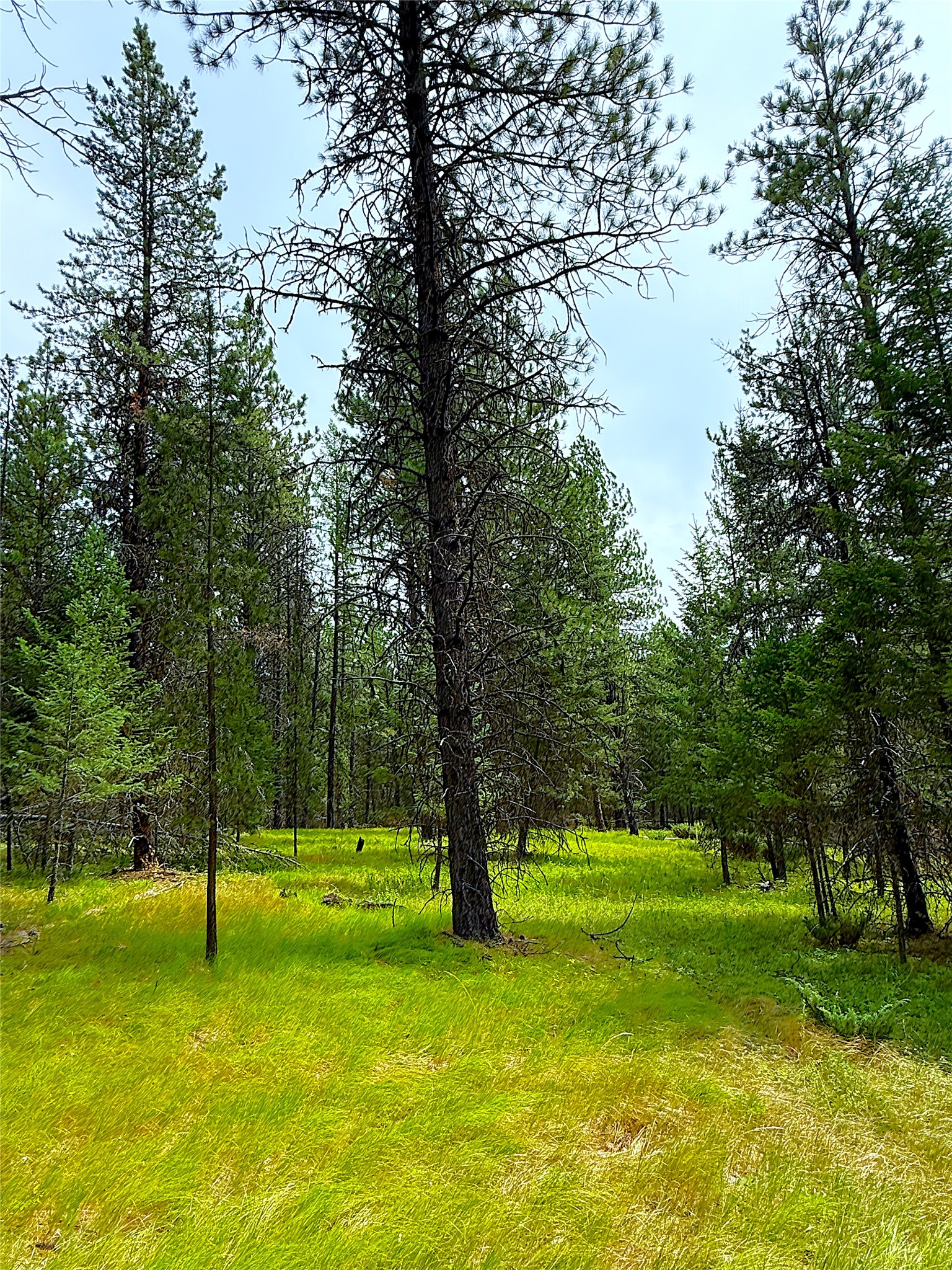 Nhn Pomeroy Trail Property Photo 10